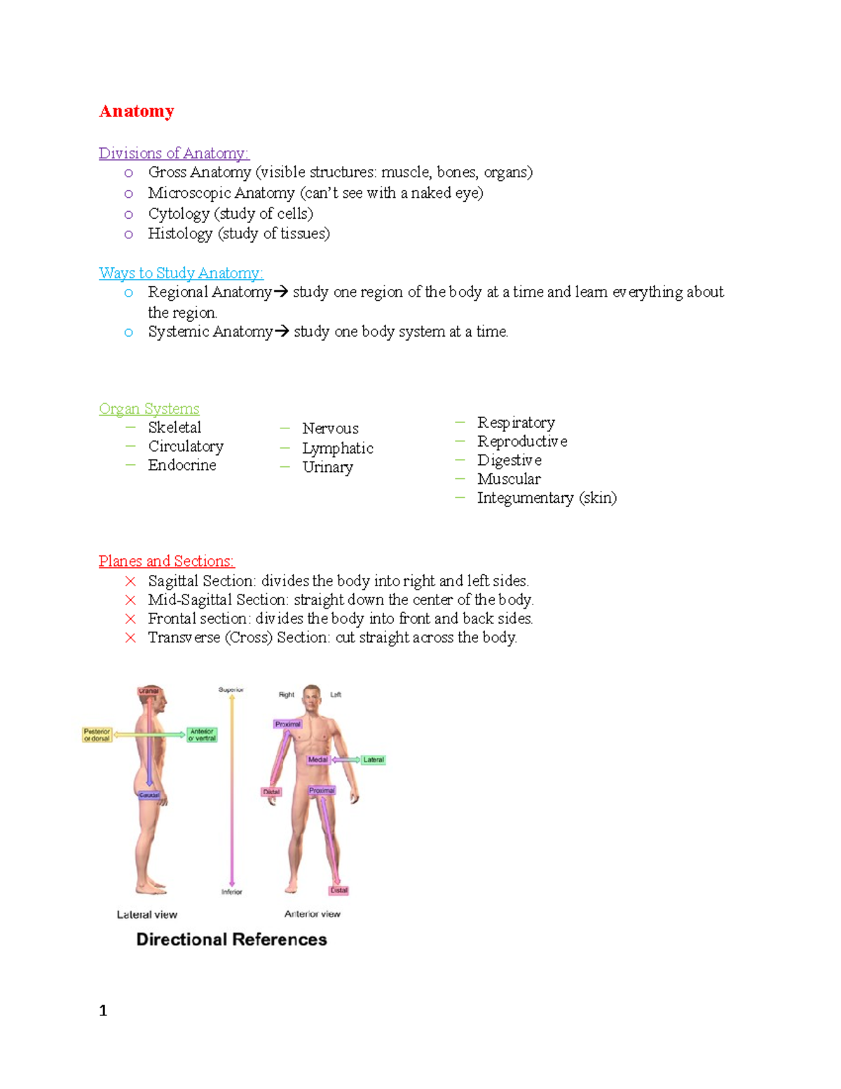 BMD113.Human Anatomy - Complete lectures from week 1 to 12-UPDATED ...