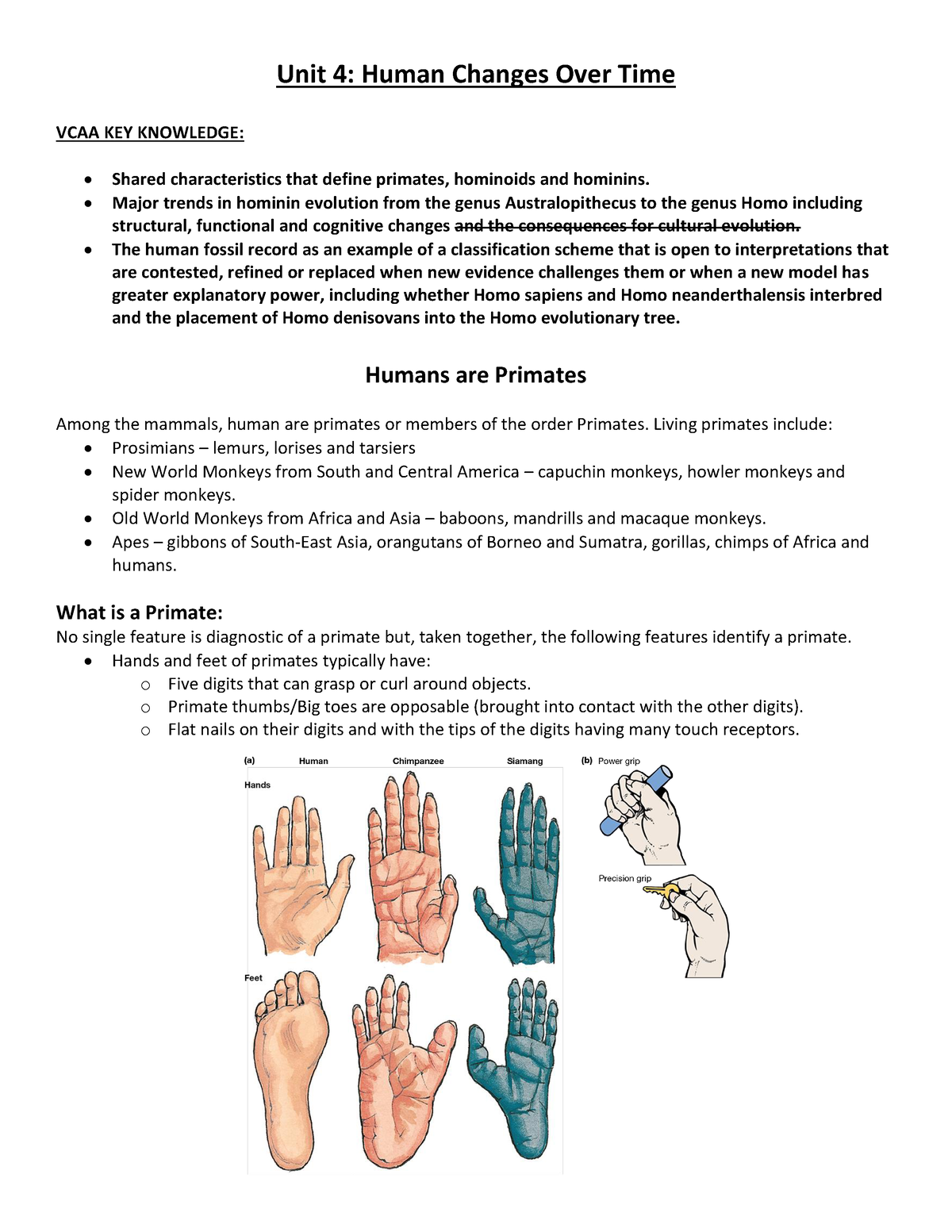 Hominin Evolution 2020 Unit 4 Human Changes Over Time VCAA KEY