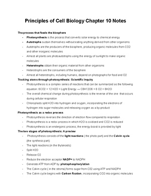 Biology Chapter 6 notes - Principals of Cell Biology Chapter 6 Notes ...