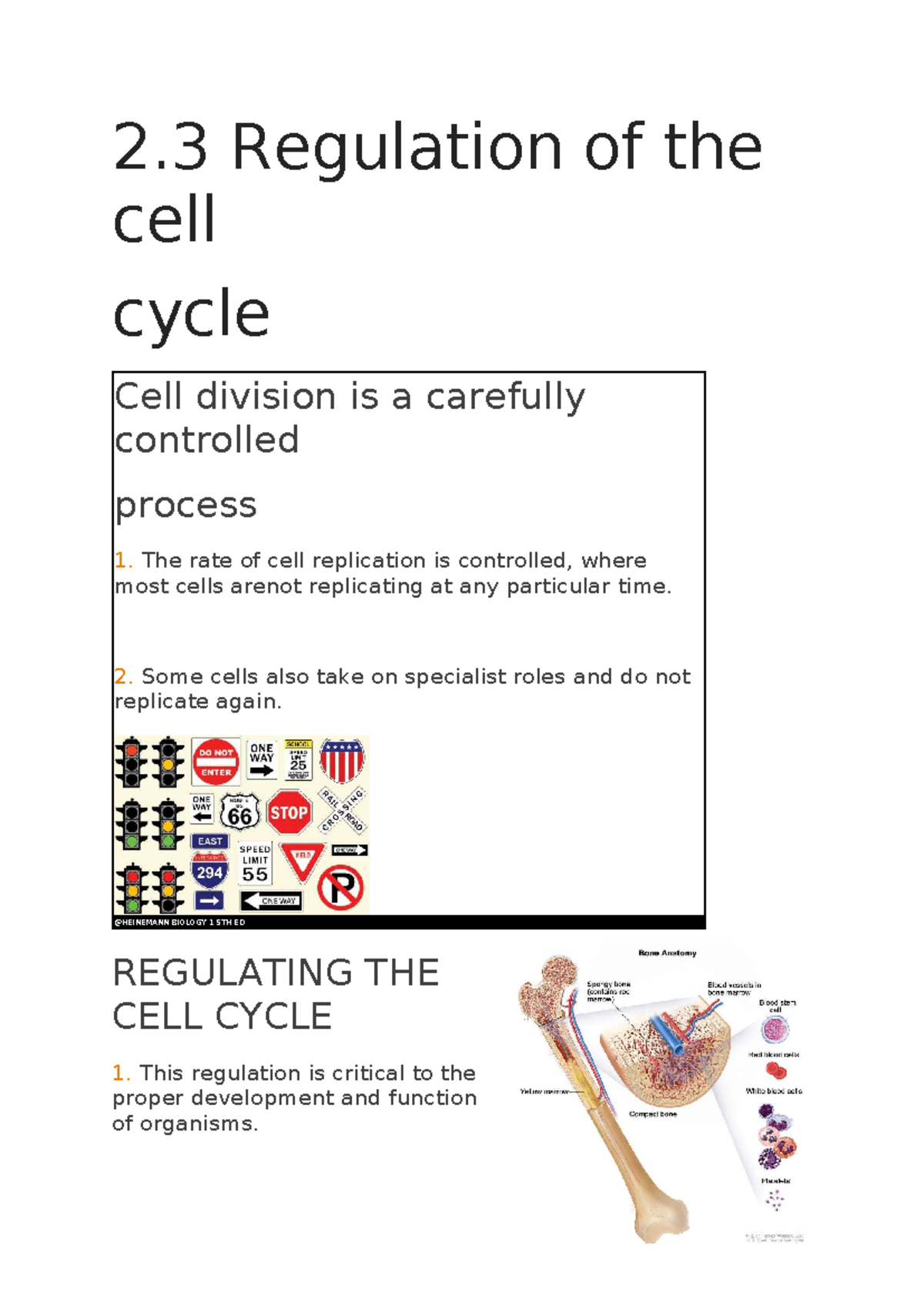 Biology notes - 2 Regulation of the cell cycle Cell division is a ...
