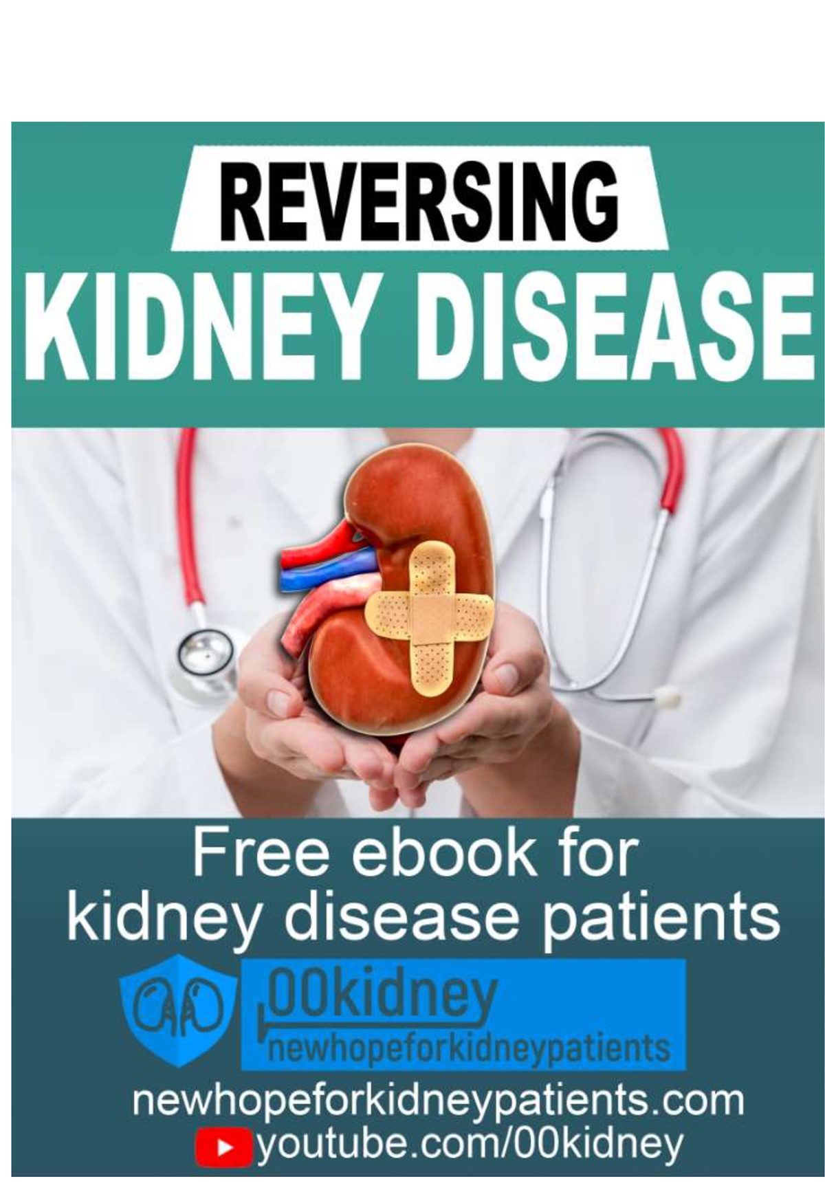 Reversing Kidney Disease Free E Book - Welcome To Our Journey Together ...