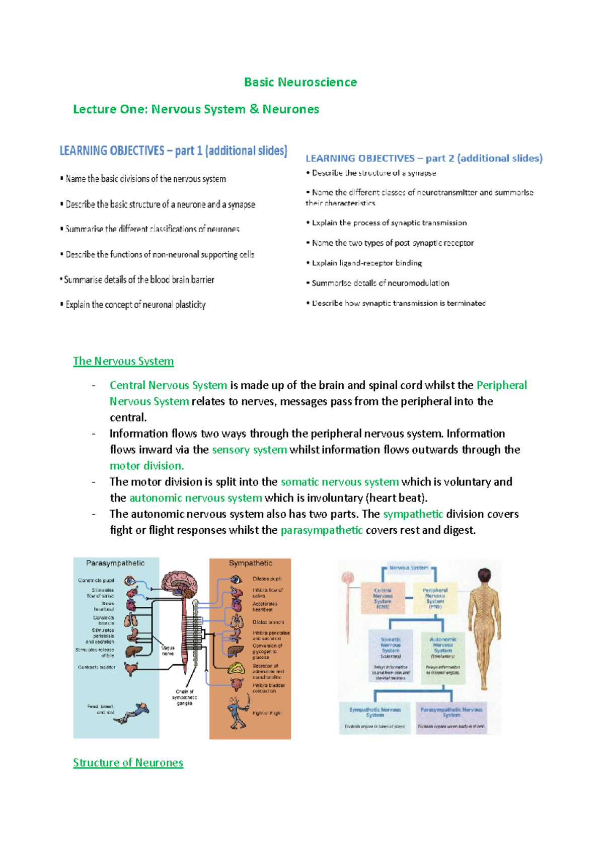 Basic Neuroscience - Basic Neuroscience Lecture One: Nervous System ...