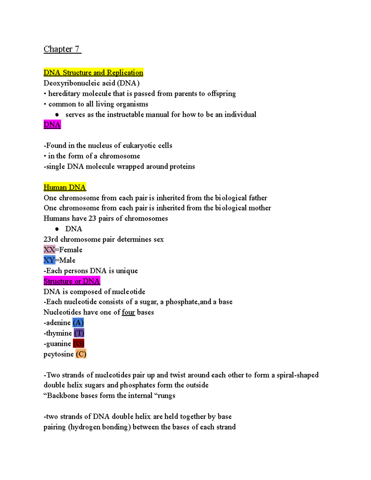 Bio notes Chapter 7 pg 1 - Chapter 7 DNA Structure and Replication ...