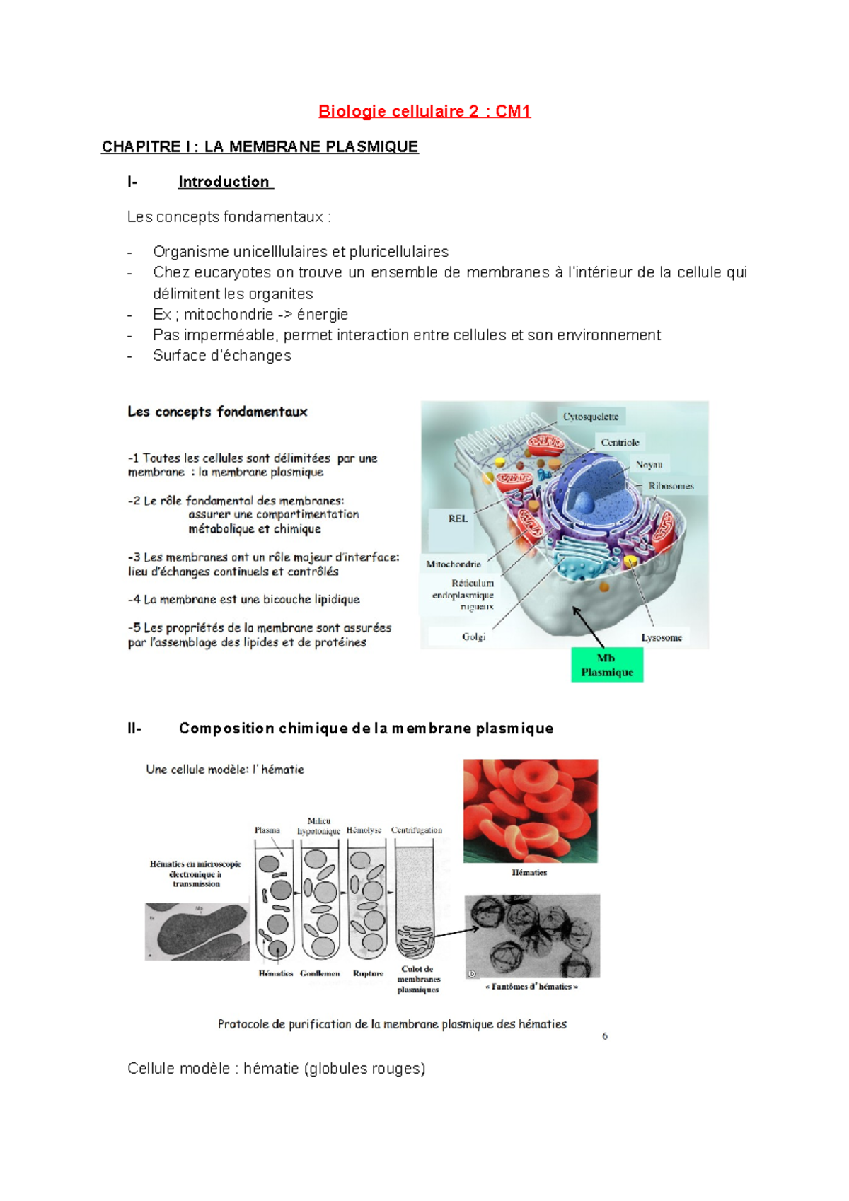 Cm1 Biocell - Notes De Cours 1 - Biologie Cellulaire 2 : CM1 CHAPITRE I ...