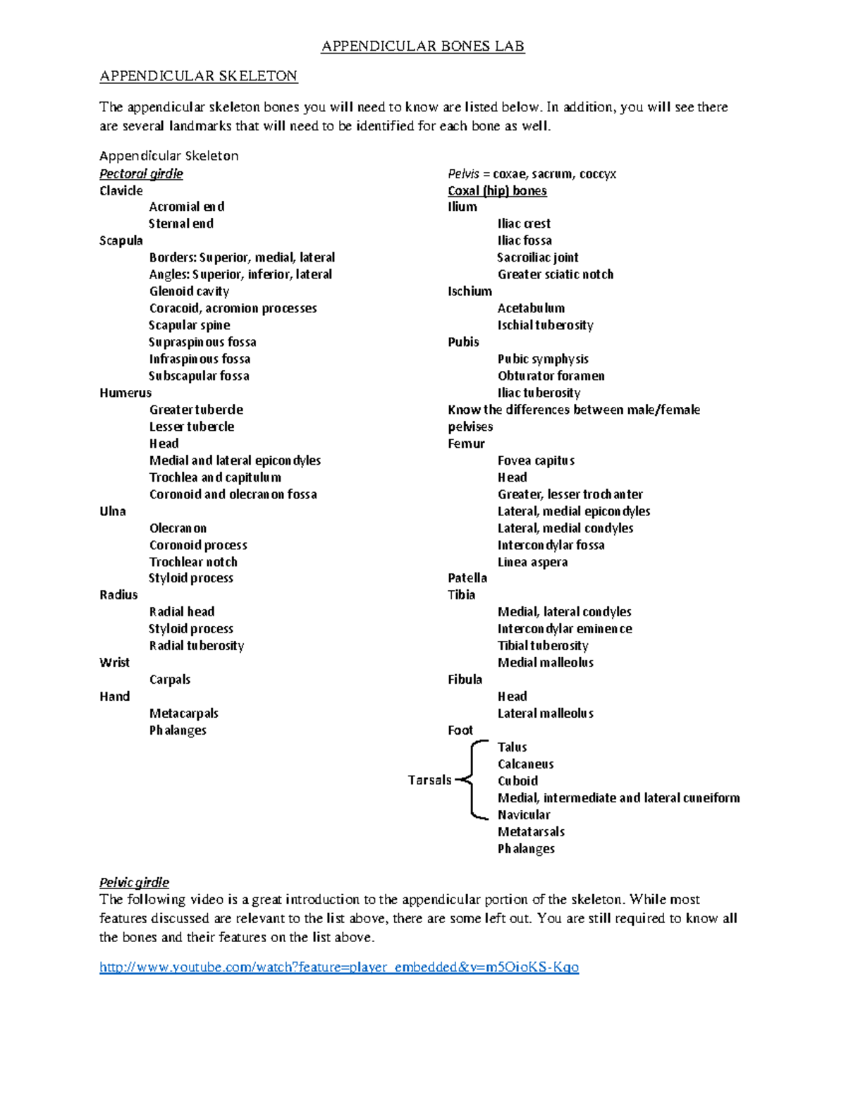 Appendicular Bones Lab - APPENDICULAR BONES LAB APPENDICULAR SKELETON ...