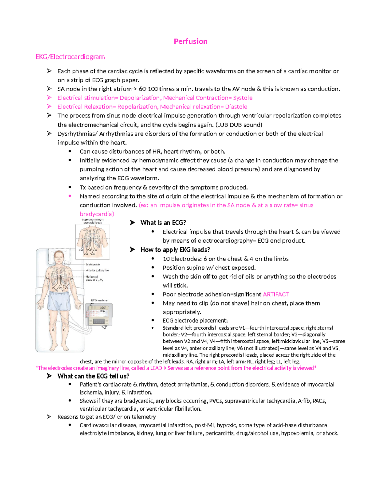 Arrhythmias Study guide - Perfusion EKG/Electrocardiogram Each phase of ...