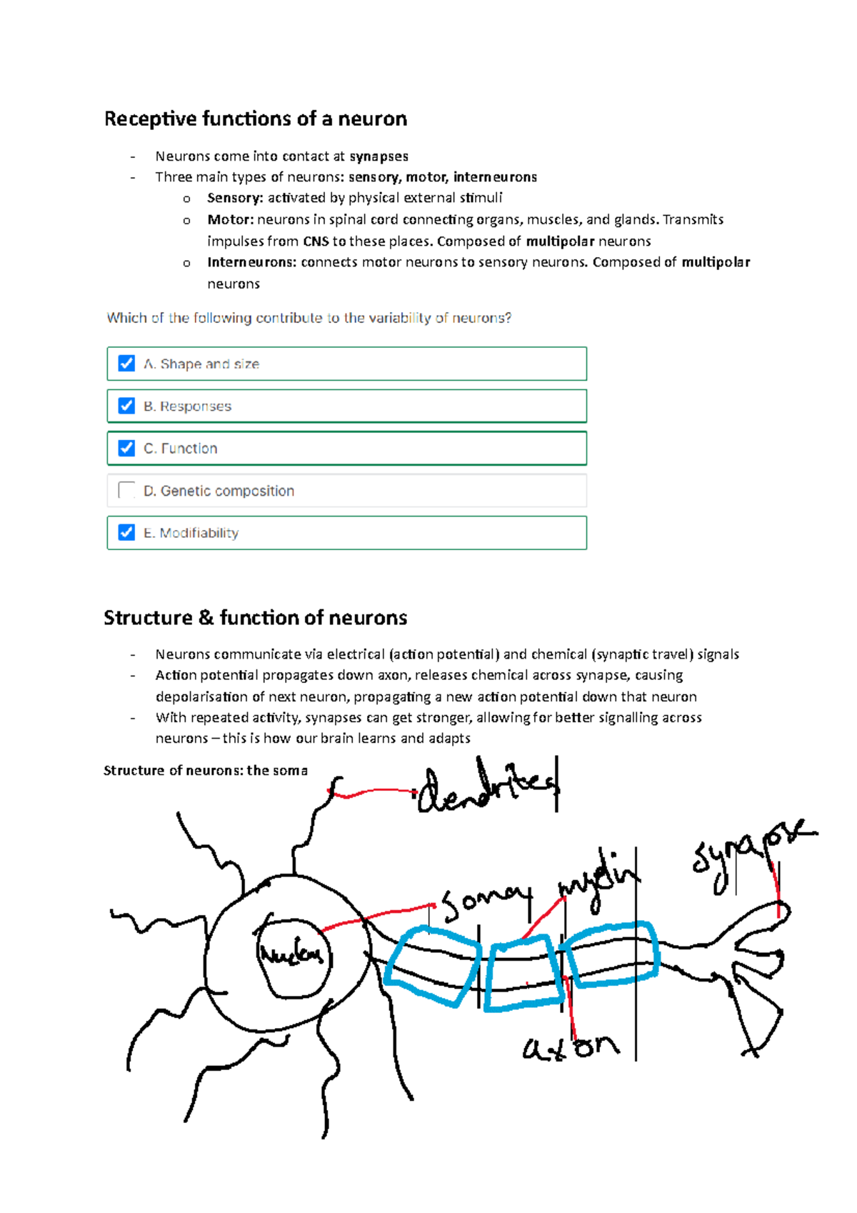Module 7 - Pt1 - Neurons - Receptive functions of a neuron Neurons come ...