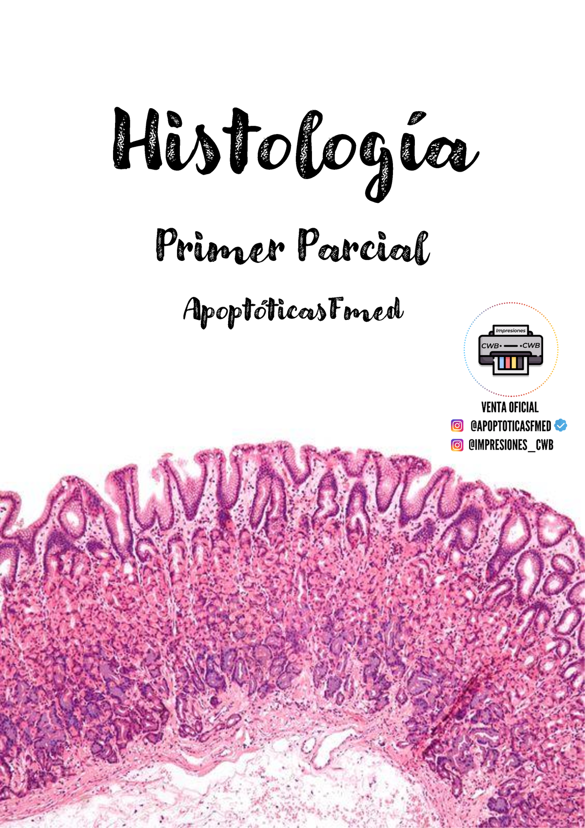 portaobjetos de histología de la aorta