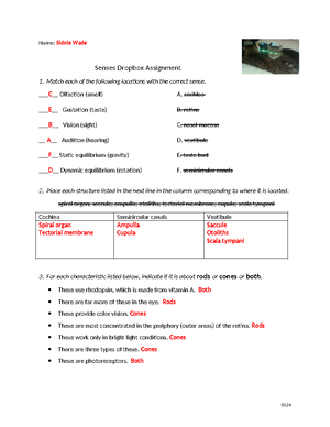 Unt 8 Metabolism Dropbox Worksheet - Name ...