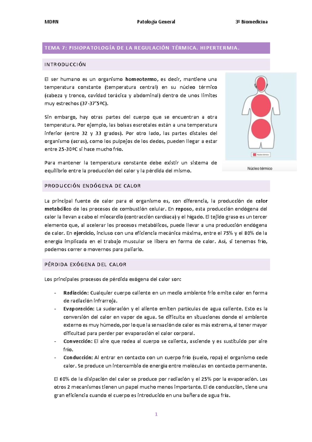 TEMA 7 - Apuntes 1 - Warning: TT: undefined function: 32 Warning: TT ...