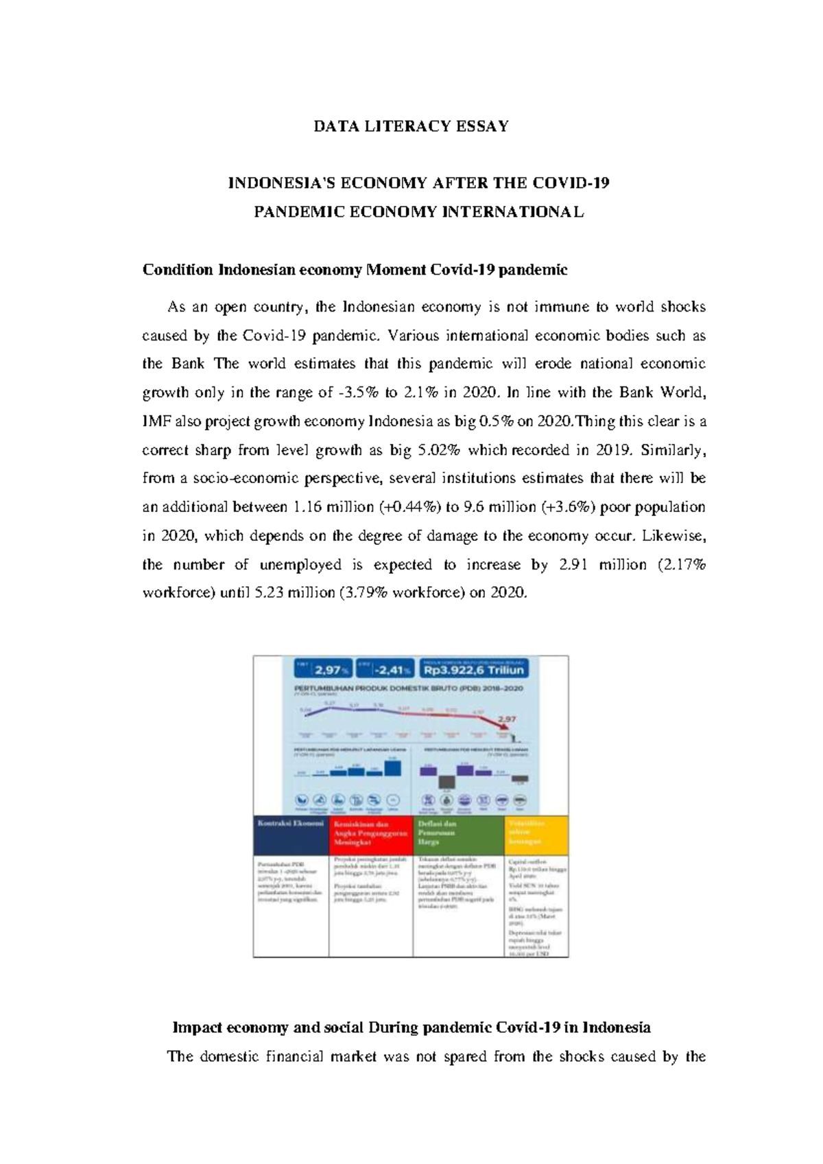 Essay International Economy - DATA LITERACY ESSAY INDONESIA'S ECONOMY ...