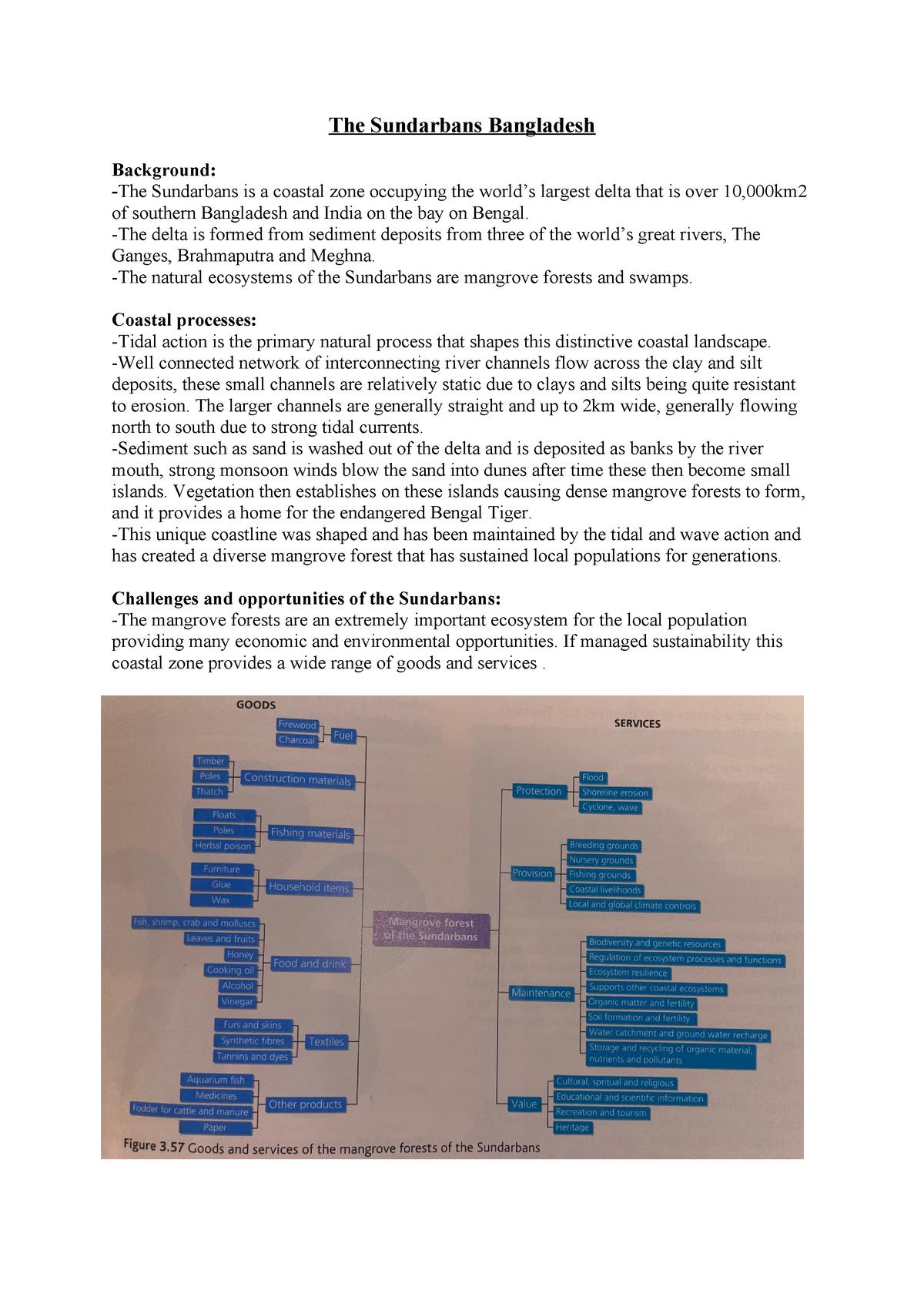 sundarbans geography case study