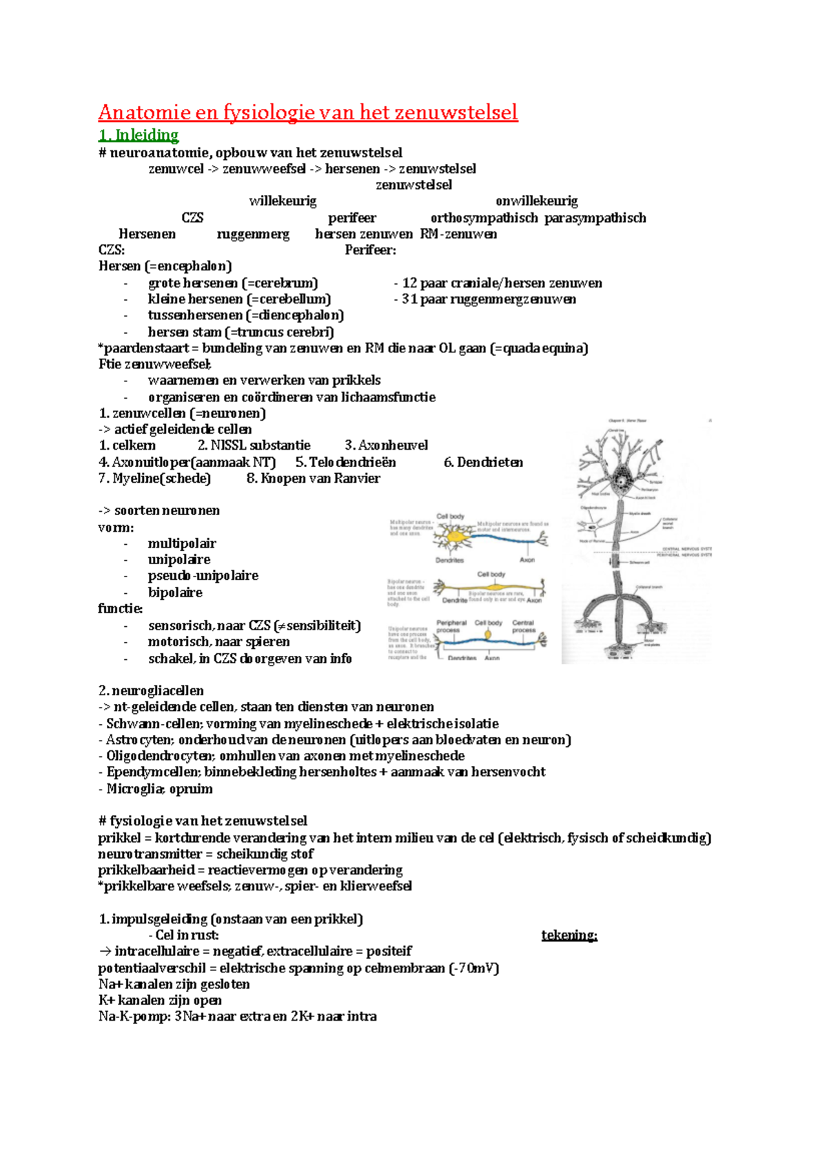 Samenvatting Anatomie En Fysiologie Van Het Zenuwstelsel - Anatomie En ...