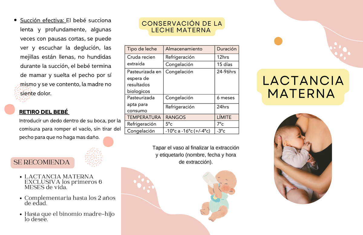 Norma Oficial Mexicana 050 Lactancia Materna www.studocu.com