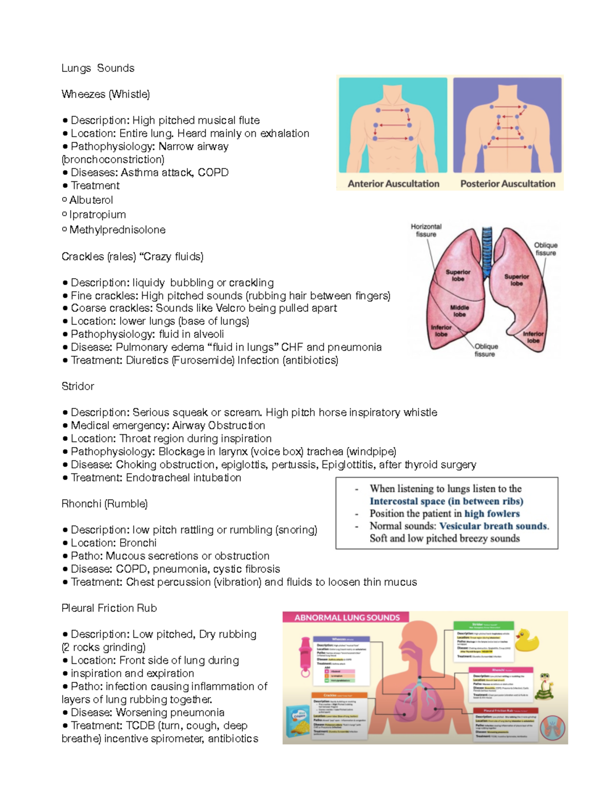 Auscultation (Heart and lungs) Notes - Lungs Sounds Wheezes (Whistle ...