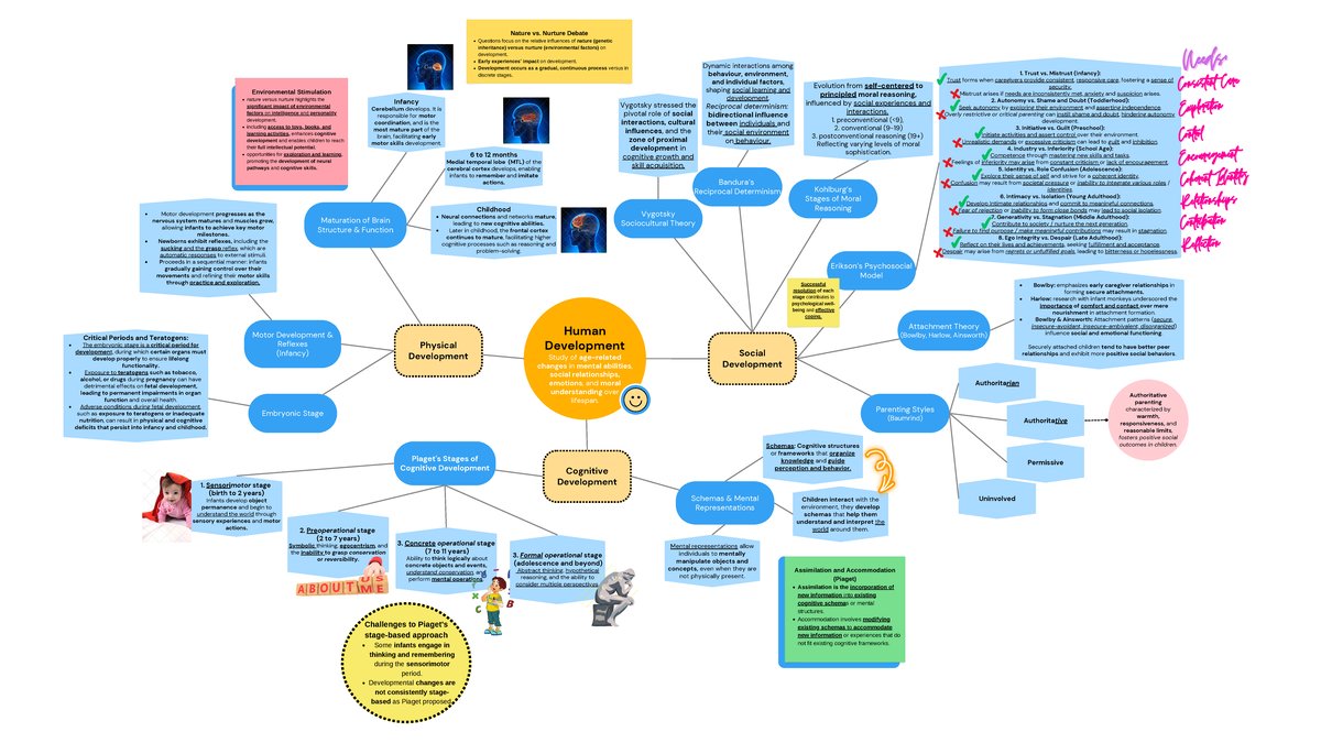 Weeks 8-9 Human Development - Human Development Study of age-related ...