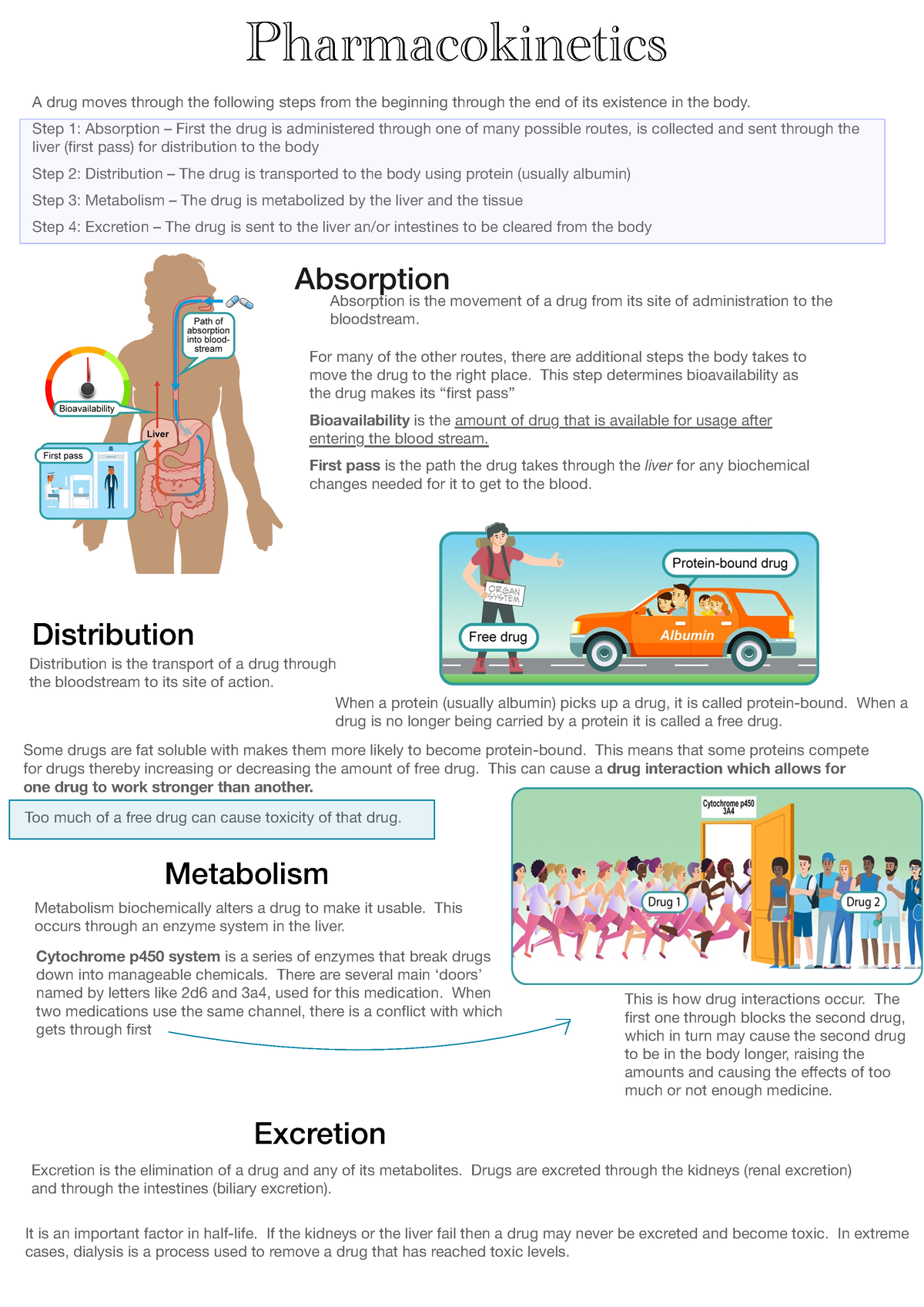 Edapt Pharm WEEK 1 - A Drug Moves Through The Following Steps From The ...