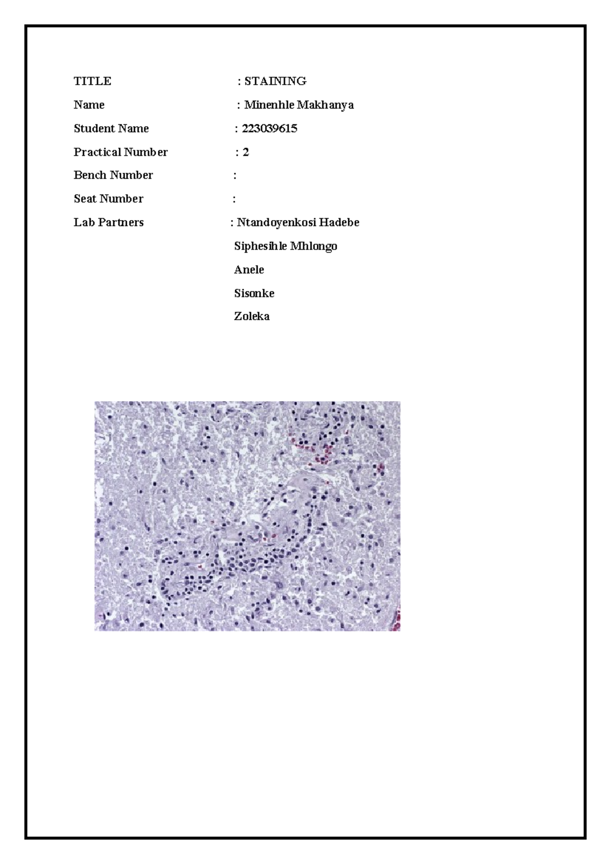 Minenhle (2230239615).Practical Report - TITLE : STAINING Name ...