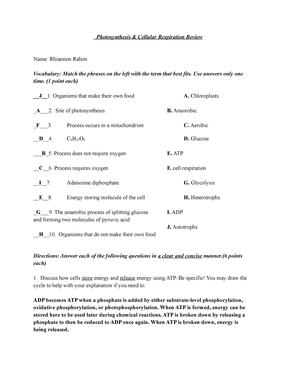 Photosynthesis & Cellular Respiration Review - BIO-23 - General With Cellular Respiration Worksheet Answer Key