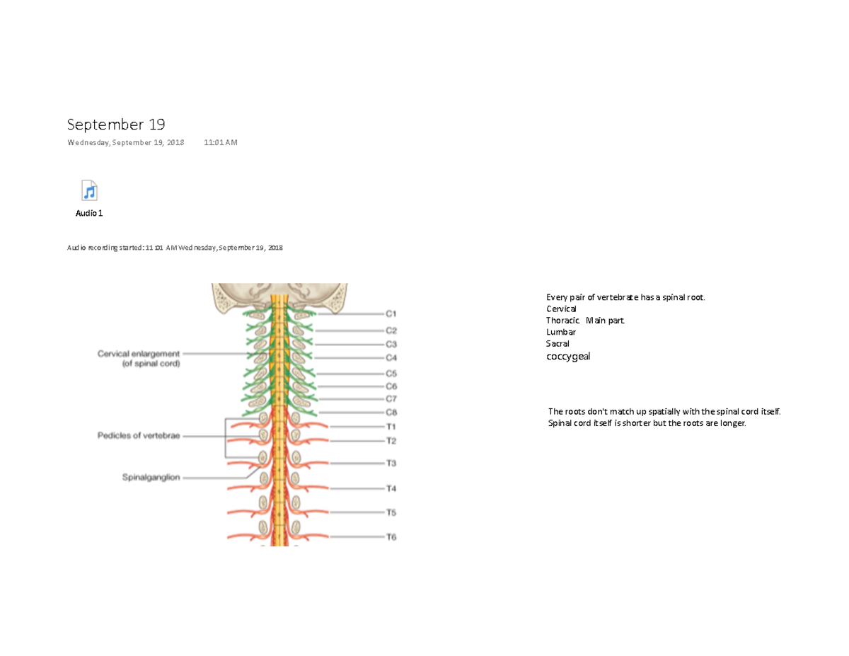 Lecture Notes 3 - Warning: TT: Undefined Function: 32 Audio 1 Audio ...