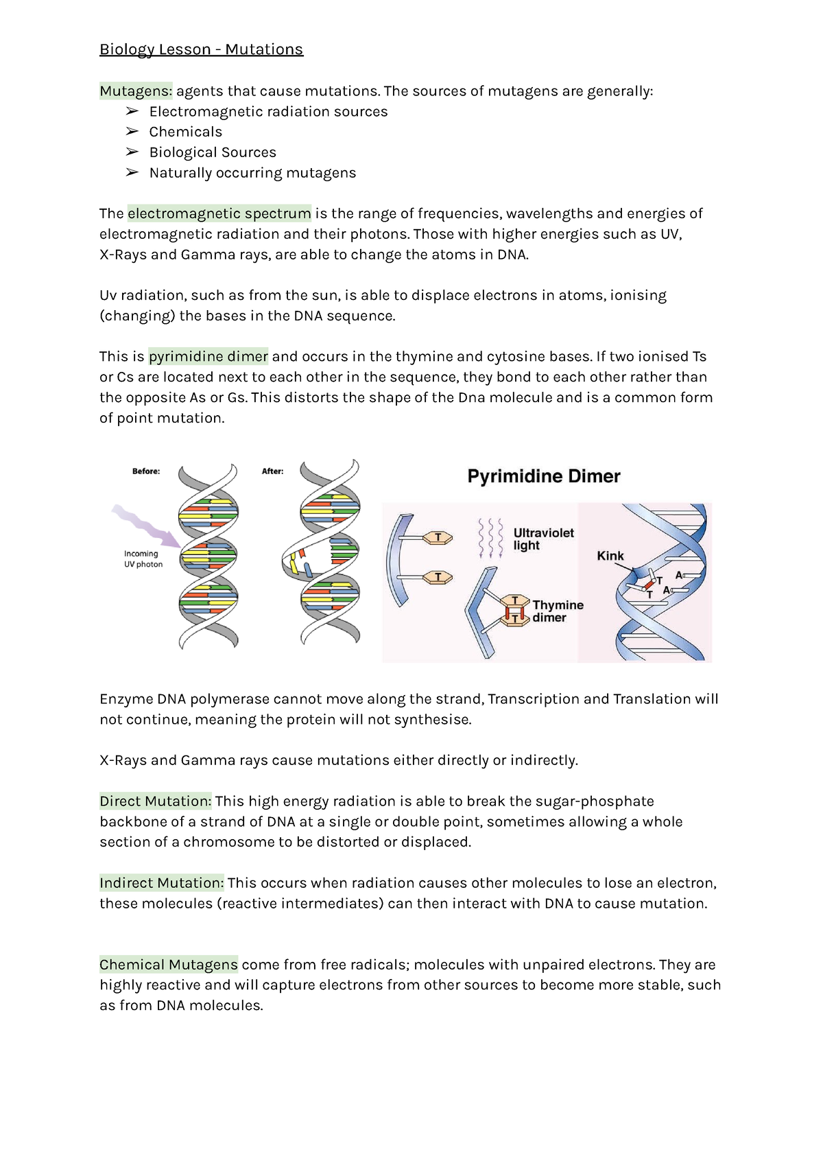 Biology Notes - Mutations - Biology Lesson - Mutations Mutagens: Agents ...