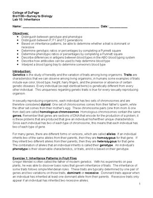 Bio 110 - Chapter 8 DNA replication, fission and mitosis - Chapter 8 ...