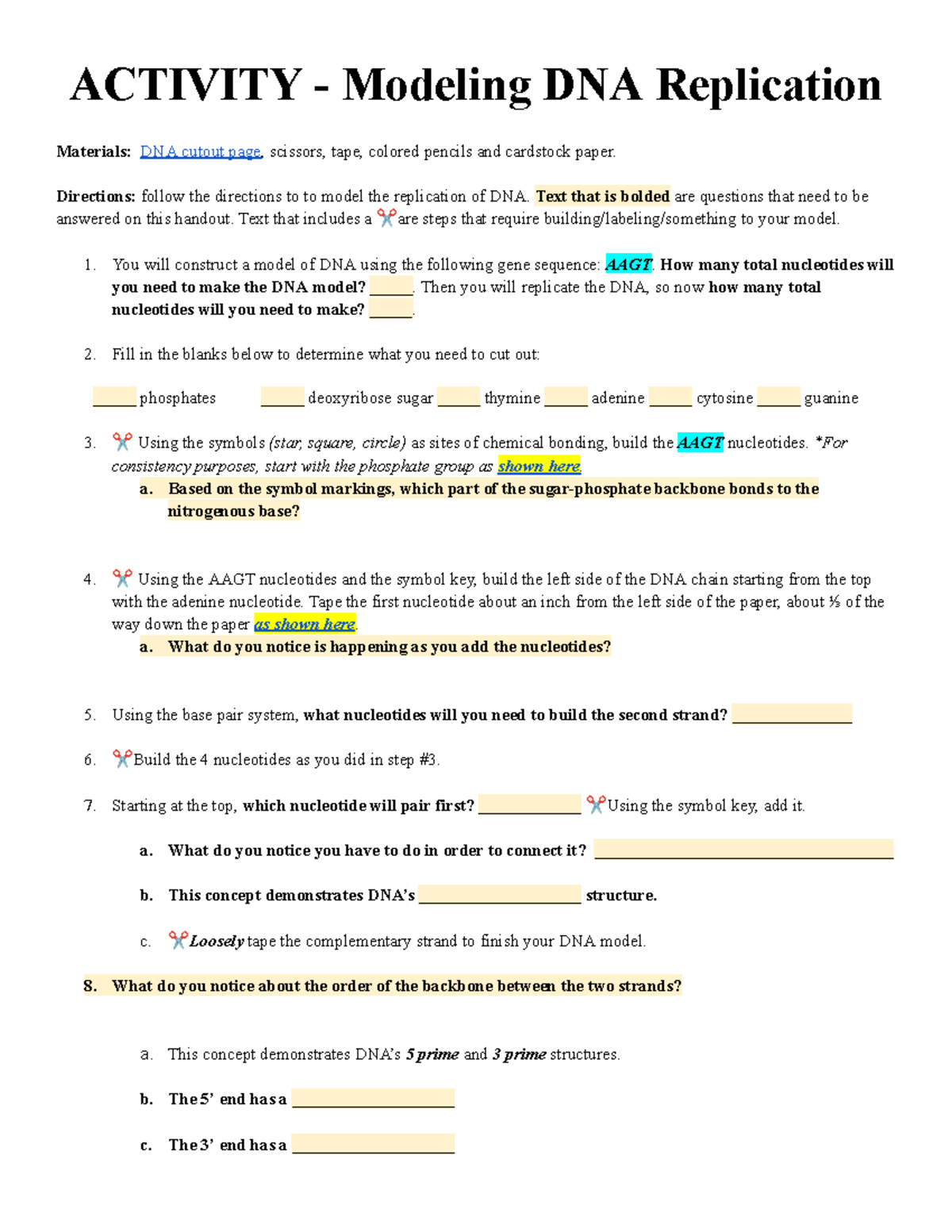 Activity - Modeling DNA Replication - ACTIVITY - Modeling DNA ...