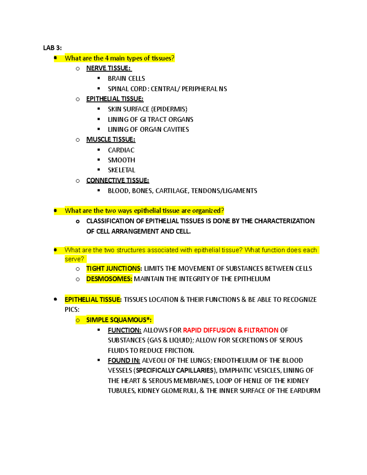 BIO LAB QUIZ 2 Review Sheet LAB 3 What are the 4 main types of tissues? o NERVE TISSUE BRAIN