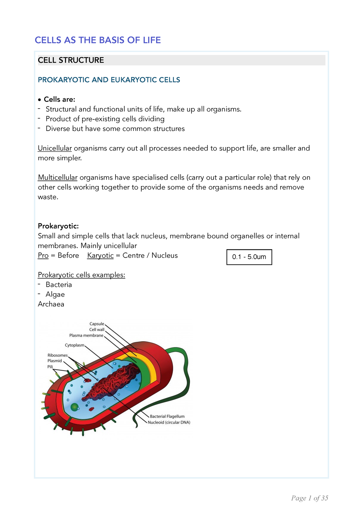 2020 P BIO - Biology Modules 1 to 3 Summary - CELLS AS THE BASIS OF ...