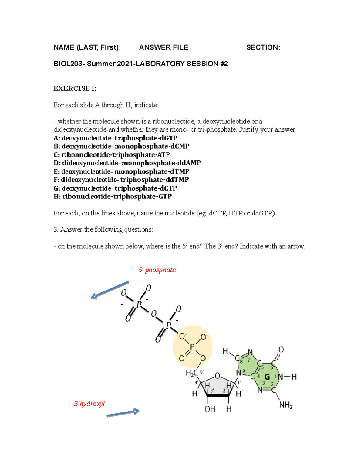 Exercise lab 02-ANS - NAME (LAST, First): ANSWER FILE SECTION: BIOL203 ...