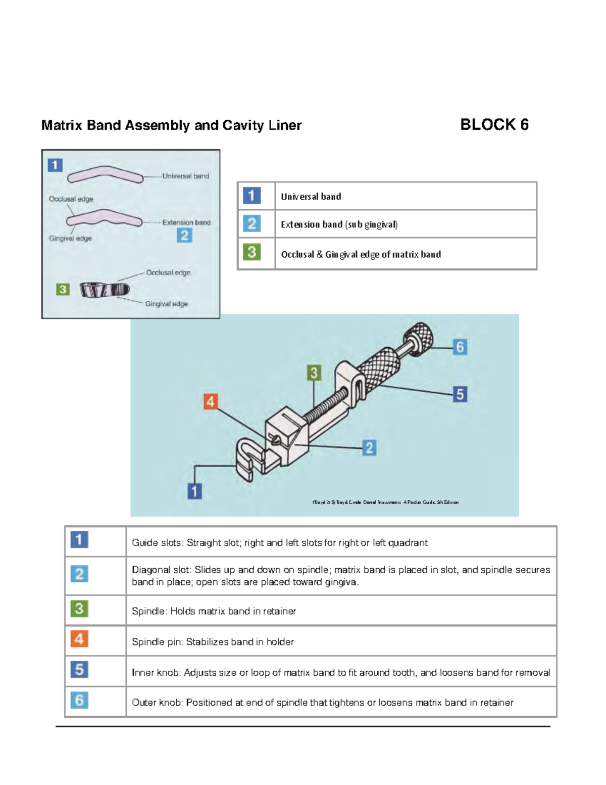 Block 6 Instructions for Matrix Band and Cavity Liner - (Boyd 215) Boyd ...