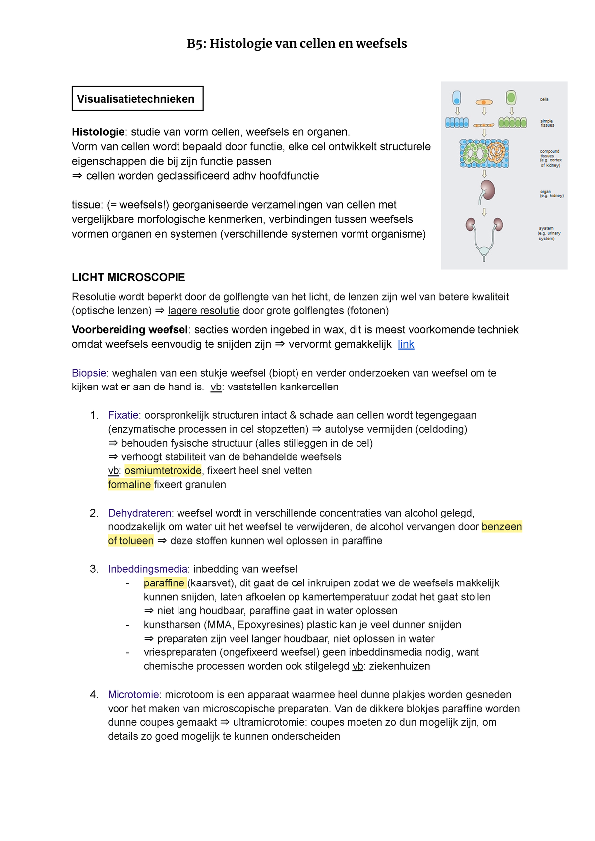 B5 Histologie Van Cellen En Weefsels - B5: Histologie Van Cellen En ...