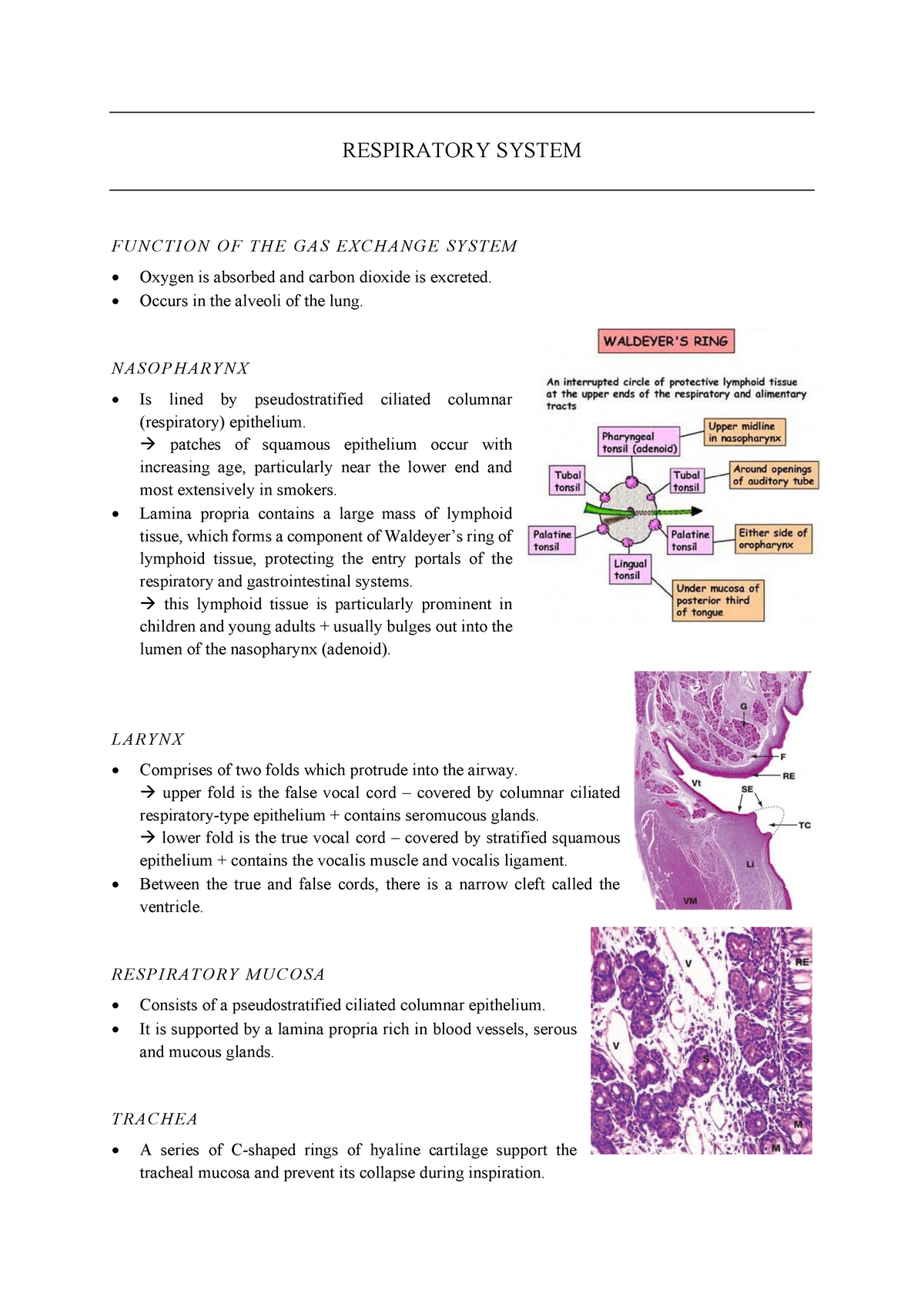 Lymphatic System | CK-12 Foundation