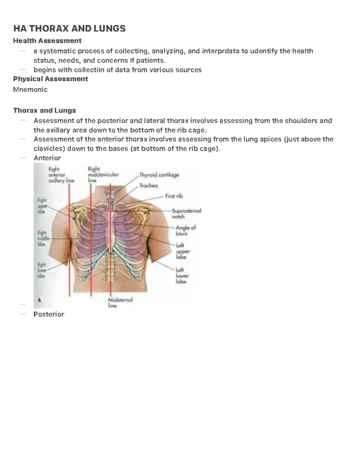 Thorax and Lungs Health Assessment - – – – – – – – HA THORAX AND LUNGS ...