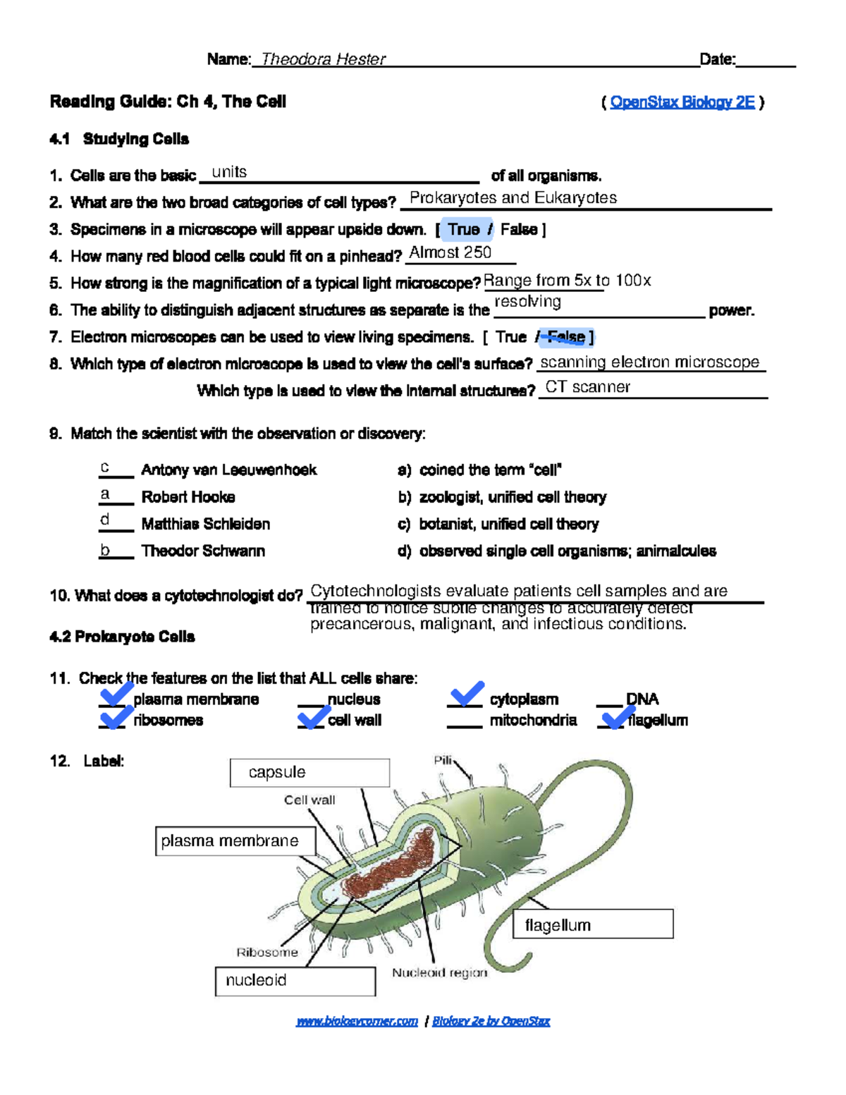 Cells Advanced Study Guide - units Prokaryotes and Eukaryotes Almost ...