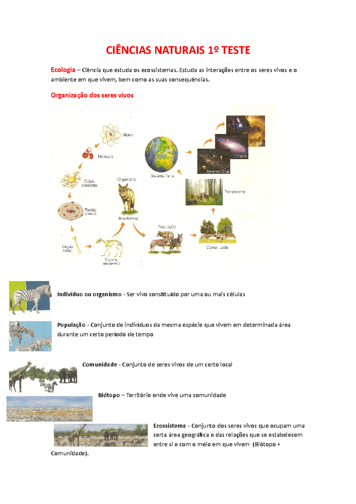 O Que Estuda Ciências Naturais - RETOEDU