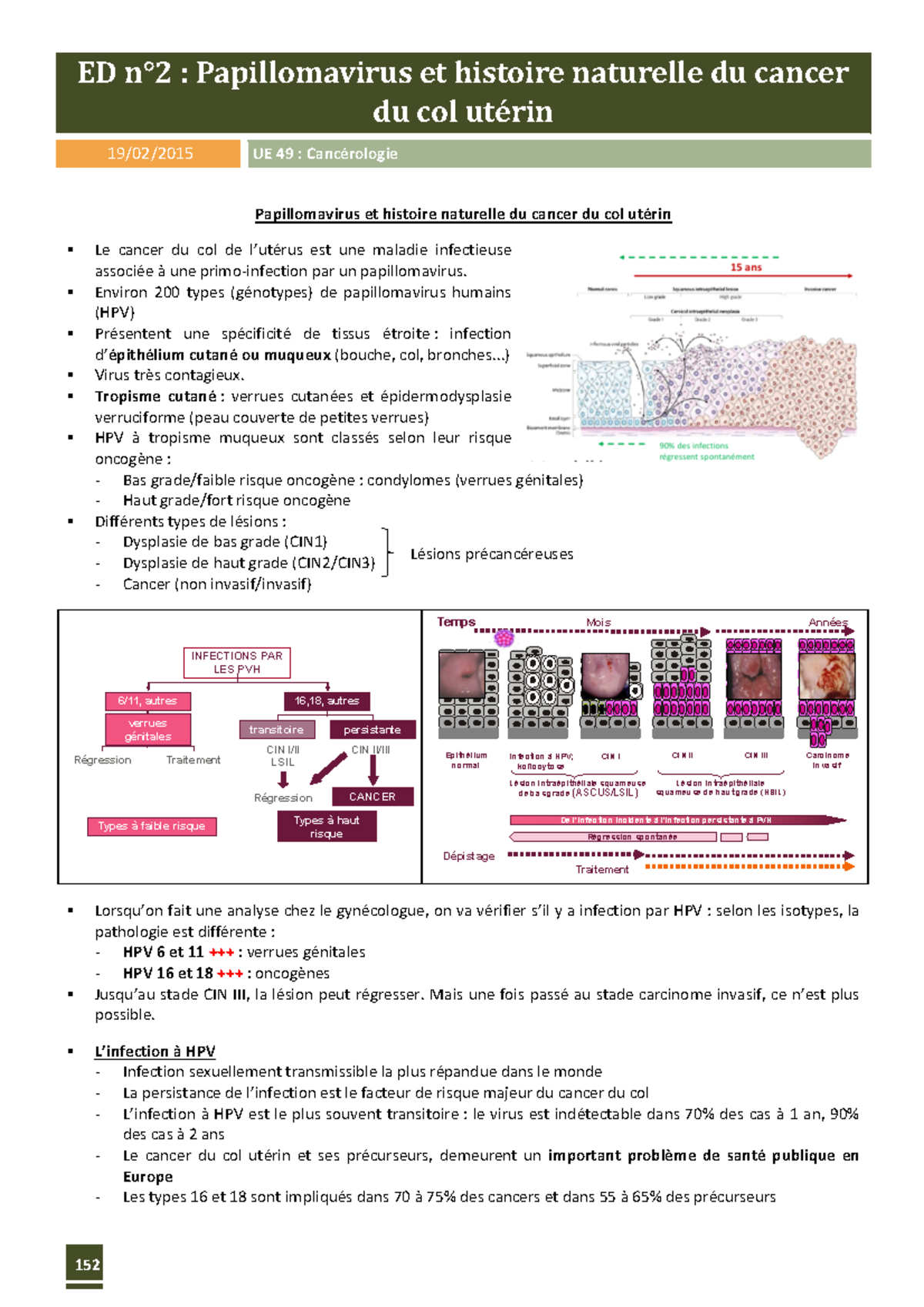 ed2-papillomavirus-ed-n-2-papillomavirus-et-histoire-naturelle-du