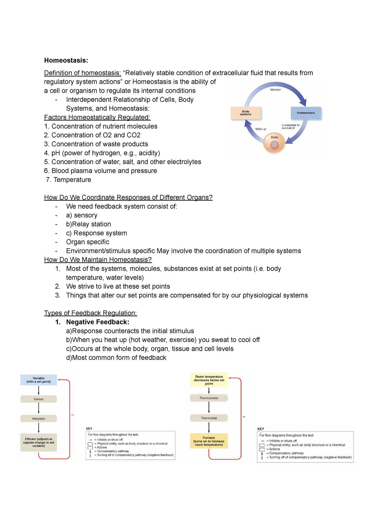 Kine 3012 lecture notes - Homeostasis: Definition of homeostasis ...