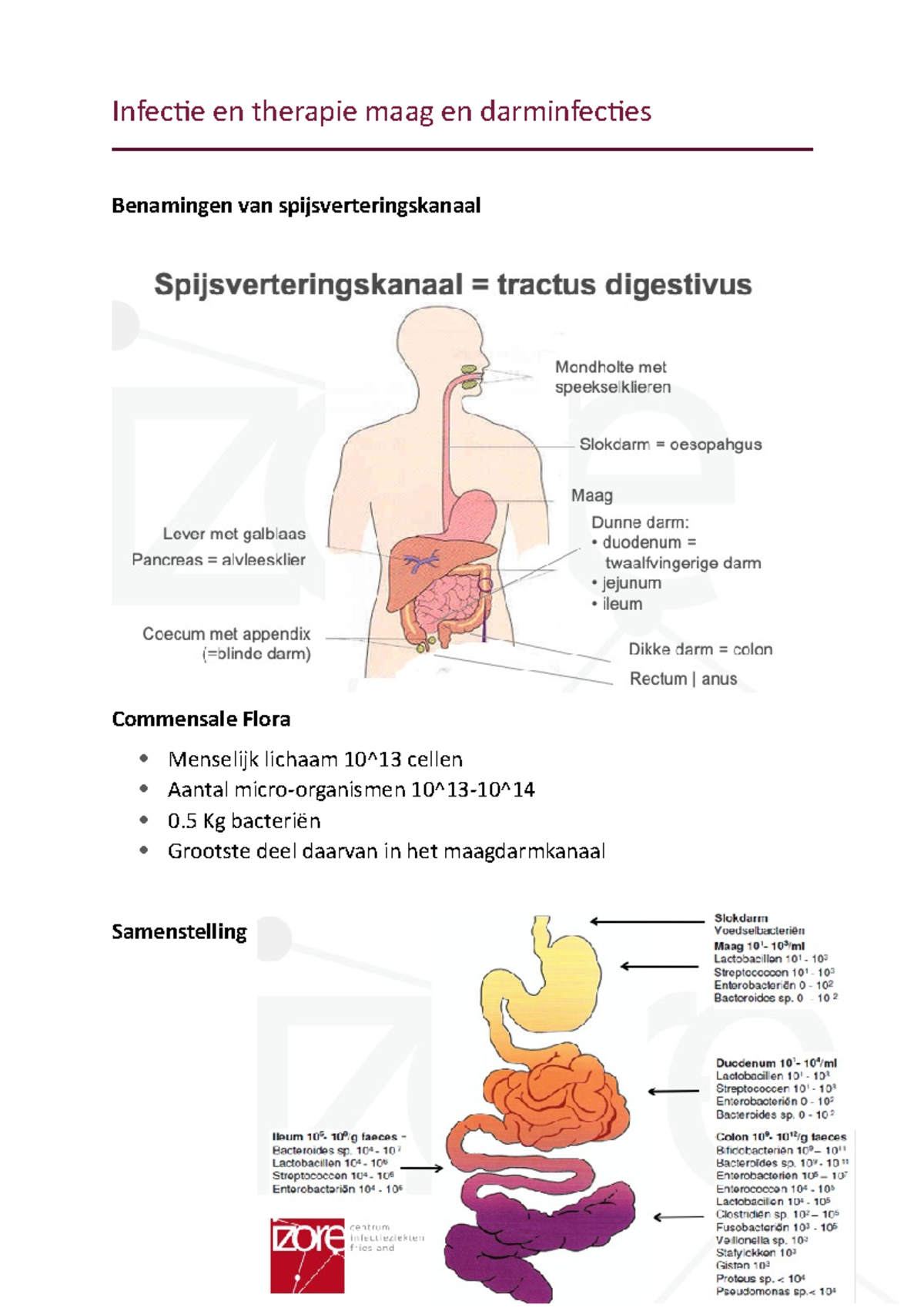 Infectie En Therapie Maag En Darminfecties - Infecie En Therapie Maag ...