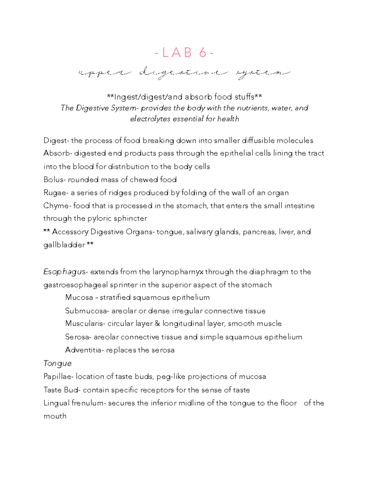 P262 LAB 6 NOTES Lecture notes 6 L A B 6 upper digestive system