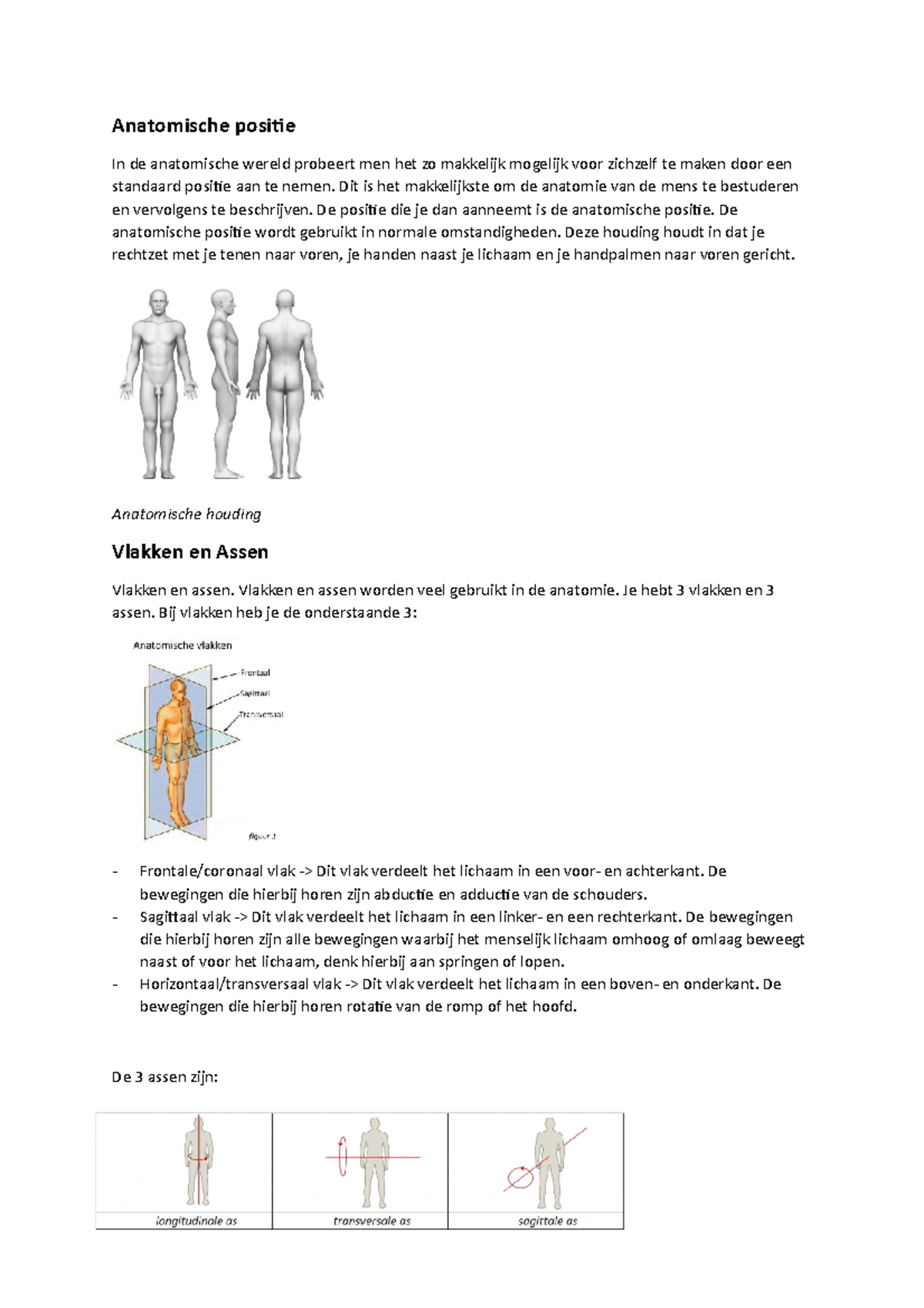 Anatomische Houding + Vlakken En Assen - Anatomische Positie In De ...