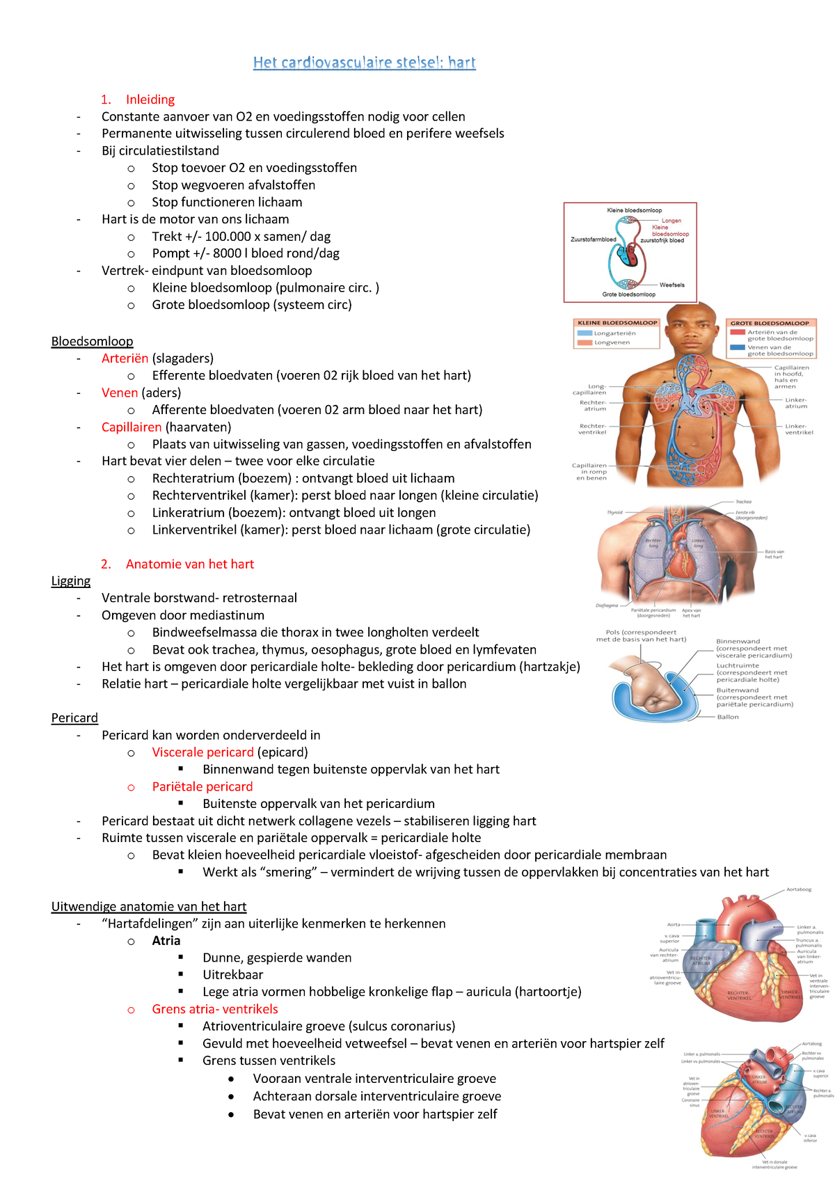 Het Cardiovasculaire Stelsel Hart - Inleiding Constante Aanvoer Van O2 ...