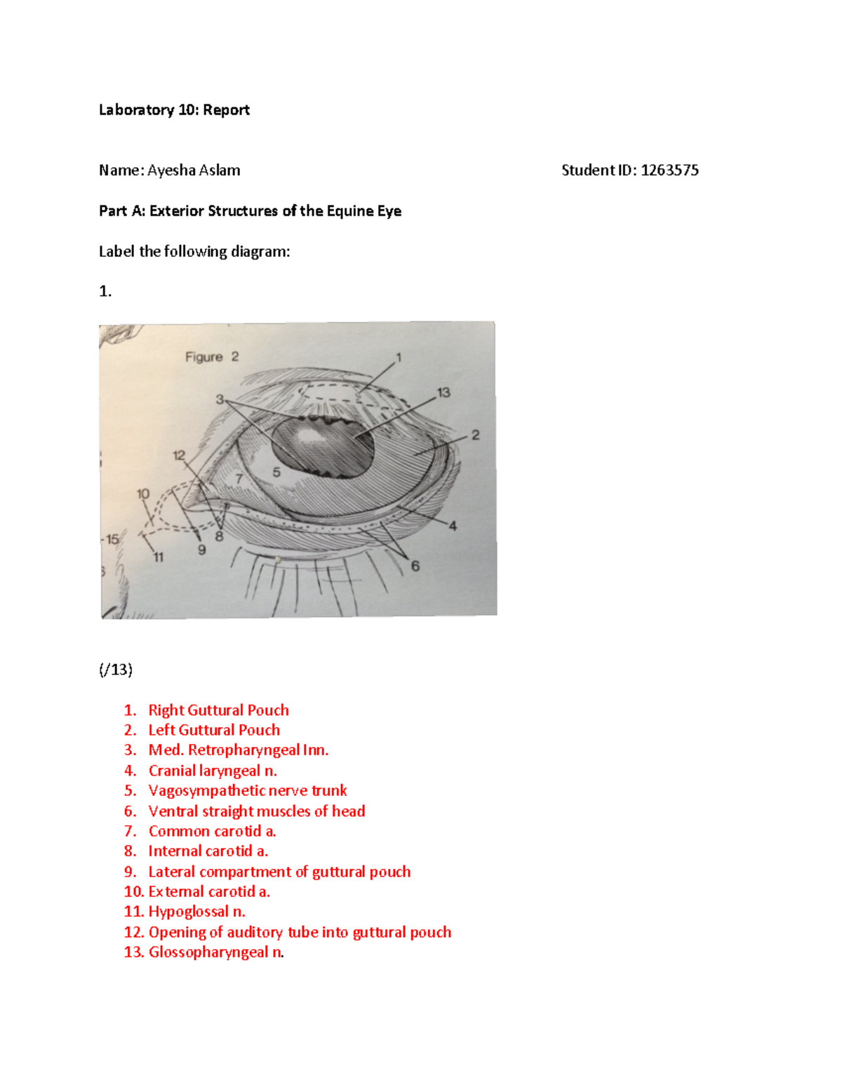 EQN2040 - LAB 10 - Sensory organs - Laboratory 10: Report Name: Ayesha ...