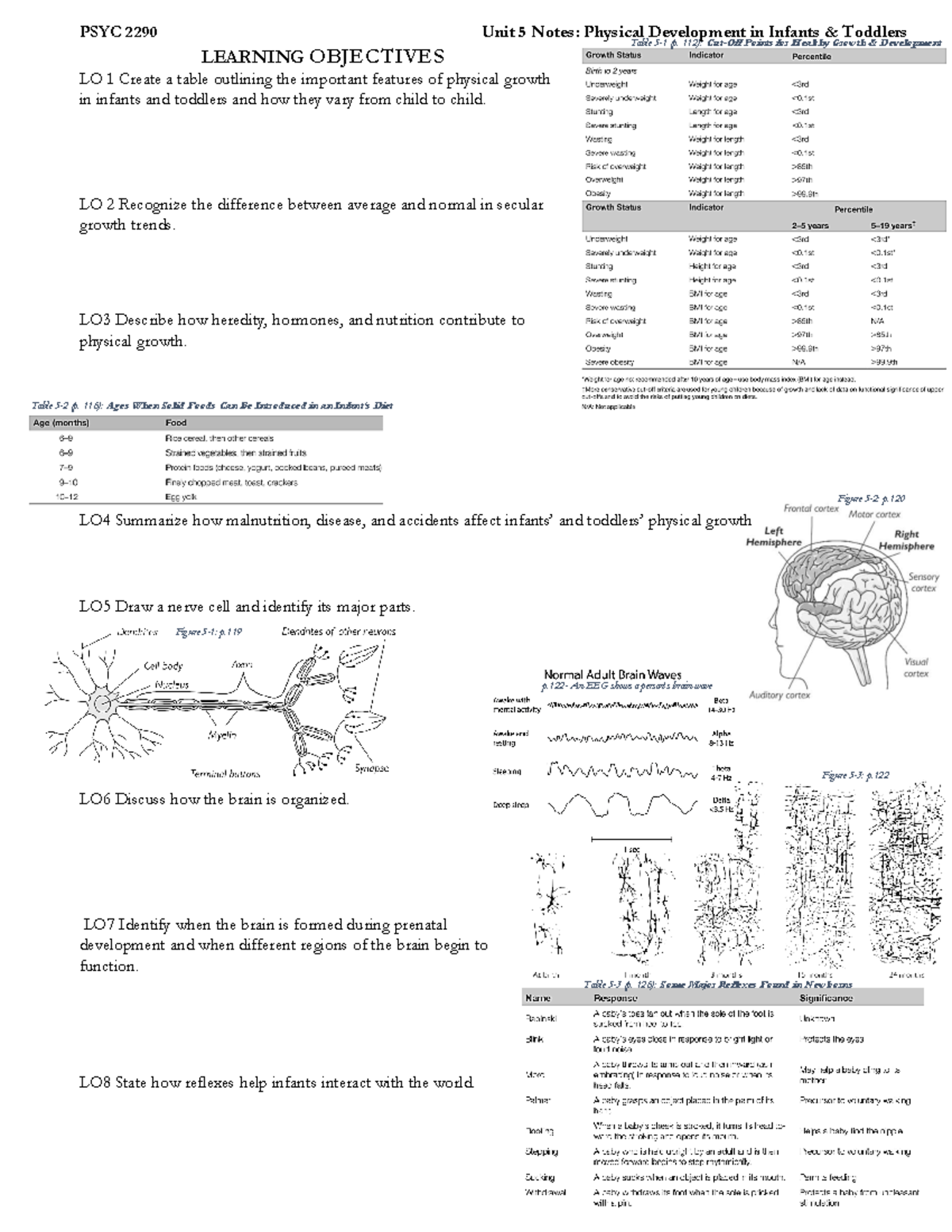 PSYC 2290 Unit 5 Notes - PSYC 2290 Unit 5 Notes: Physical Development ...