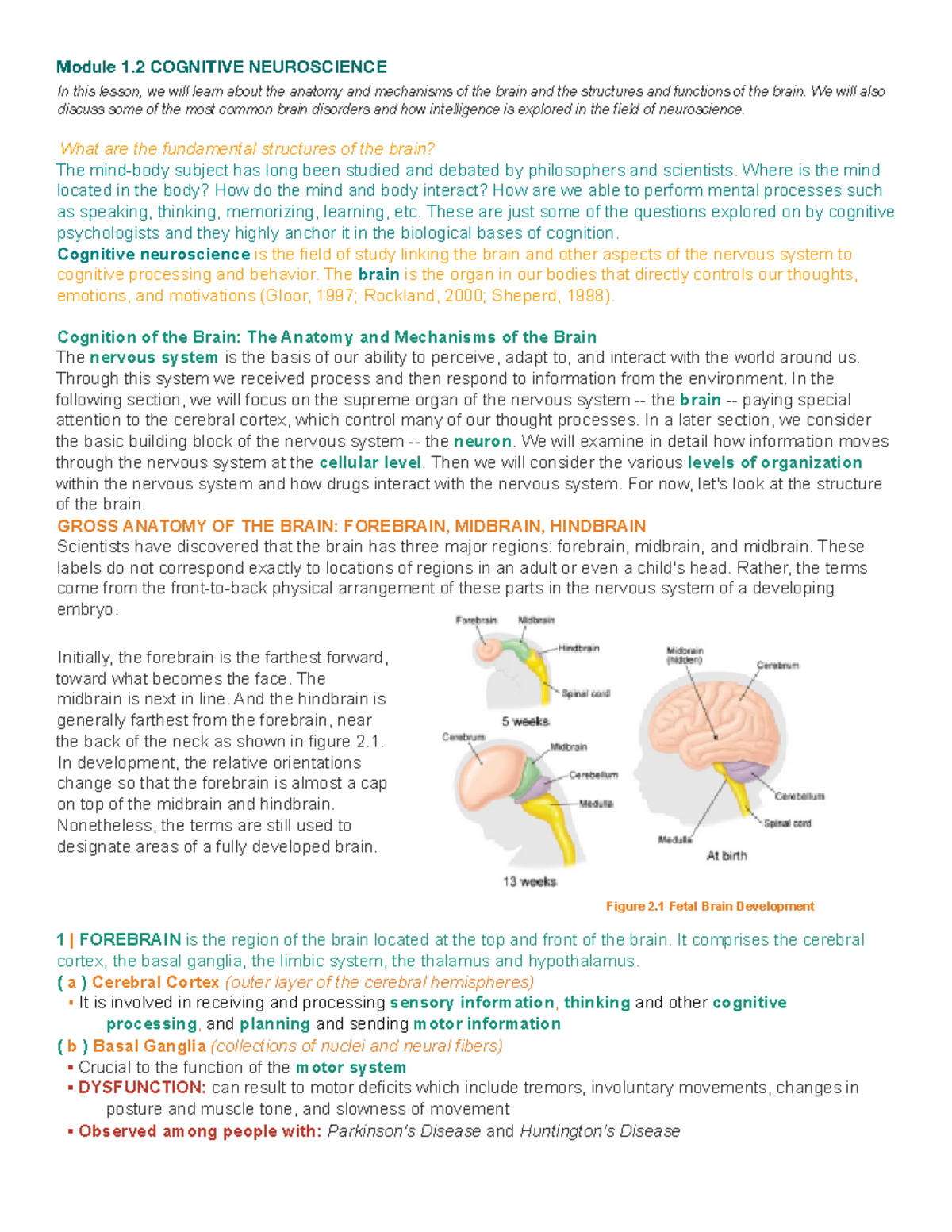 Cognitive Neuroscience - Module 1 COGNITIVE NEUROSCIENCE In this lesson ...