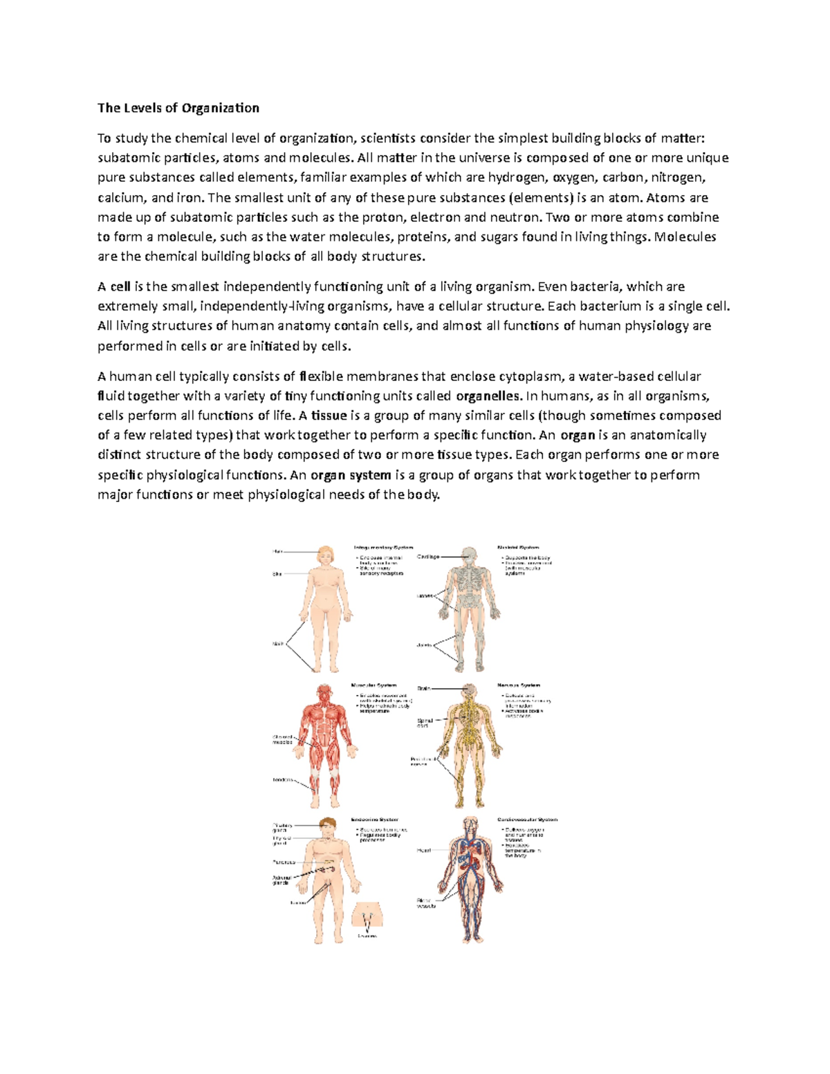 The Levels of Organization - All matter in the universe is composed of ...