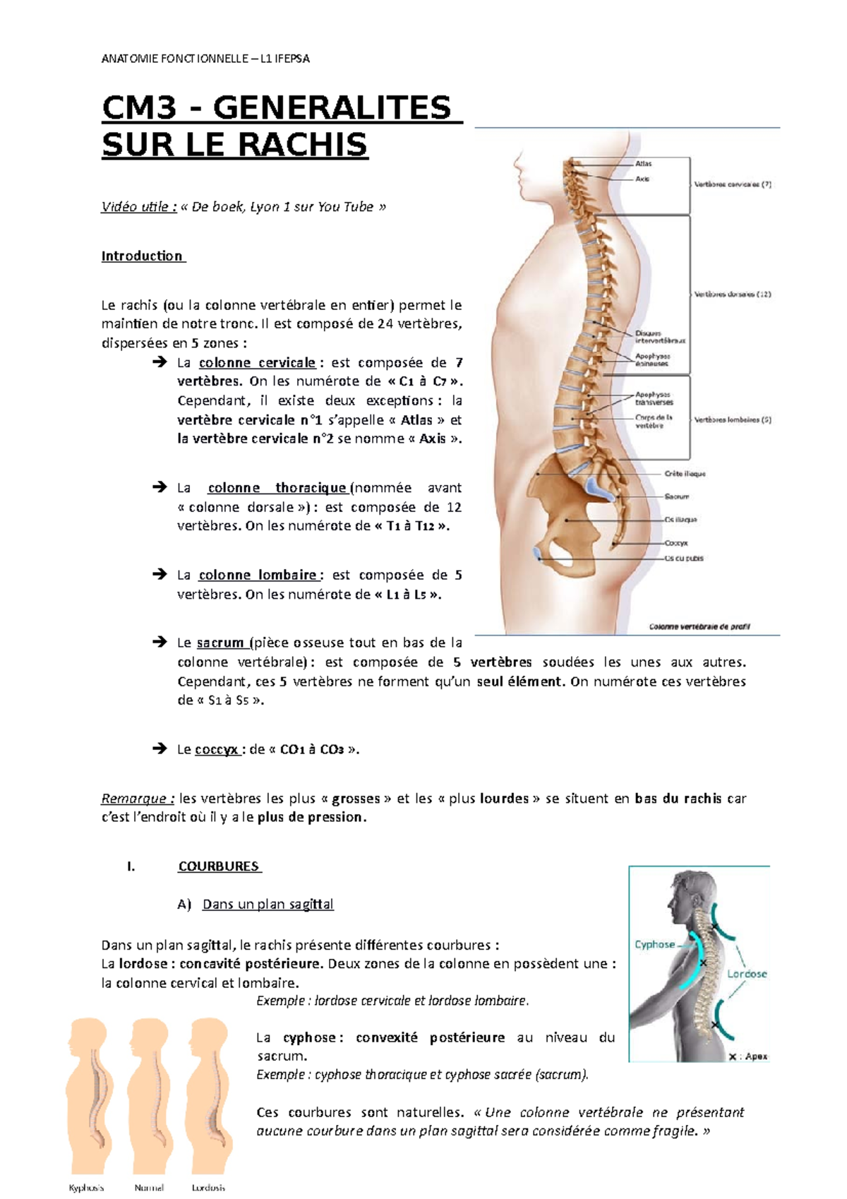 CM3 - Generalites SUR LE Rachis - ANATOMIE FONCTIONNELLE – L1 IFEPSA ...