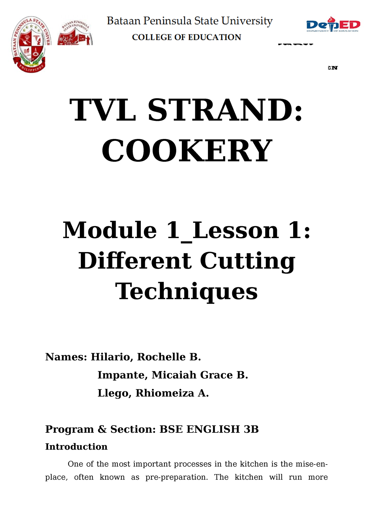 example of research title about cookery strand