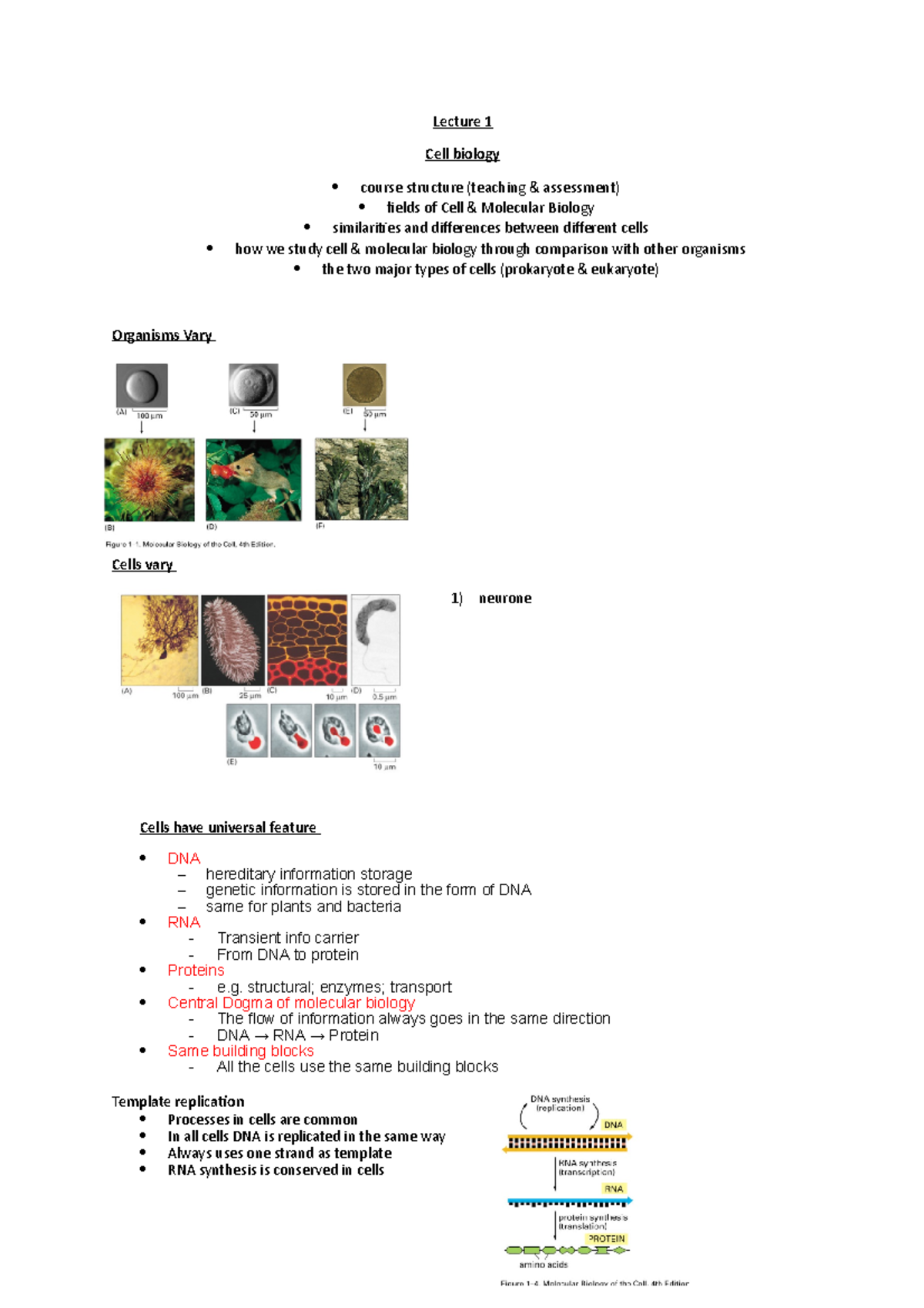 Lecture 1 Of Cell Biology - Lecture 1 Cell Biology Course Structure ...