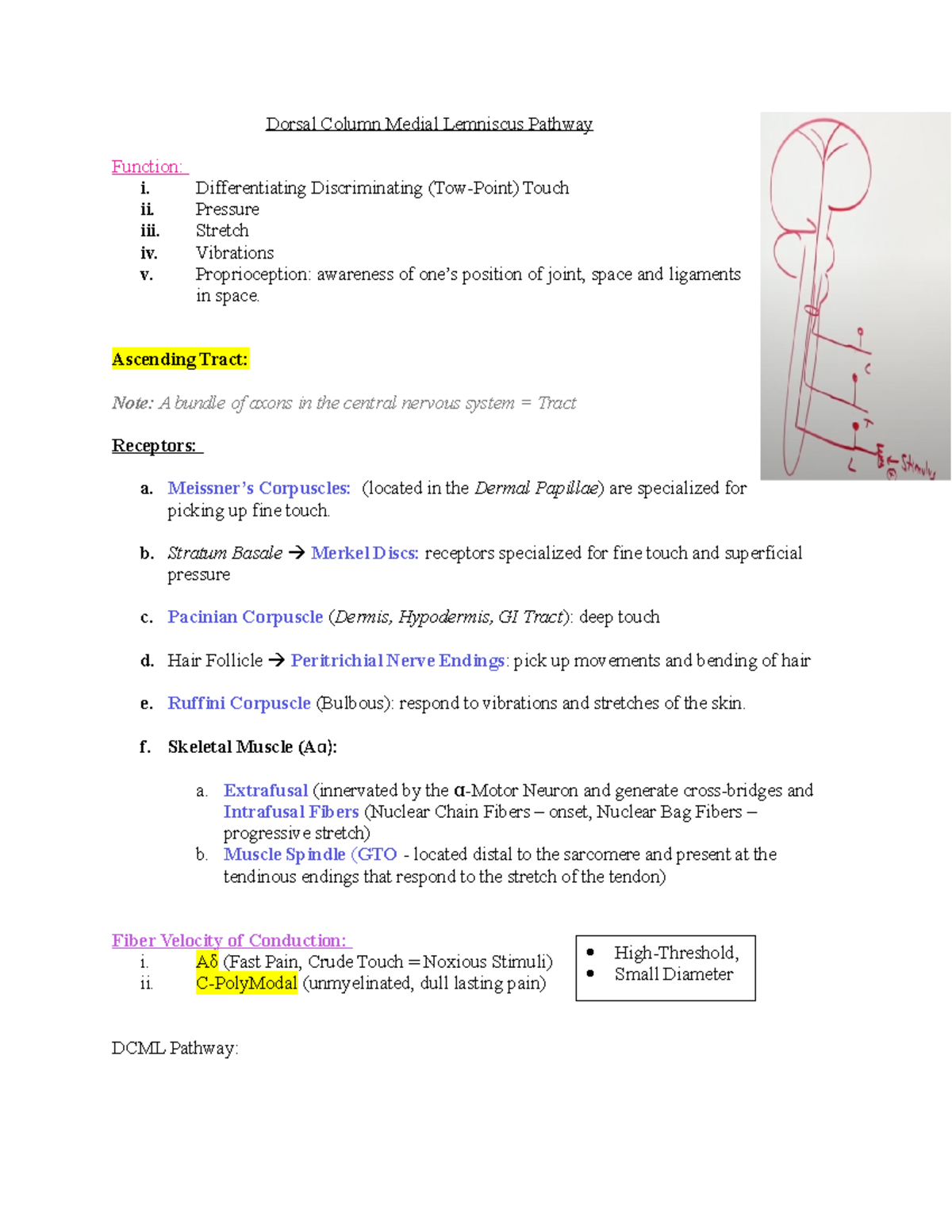 DCML - Ascending Tract - Fine Touch, Two-Point Discrimination ...